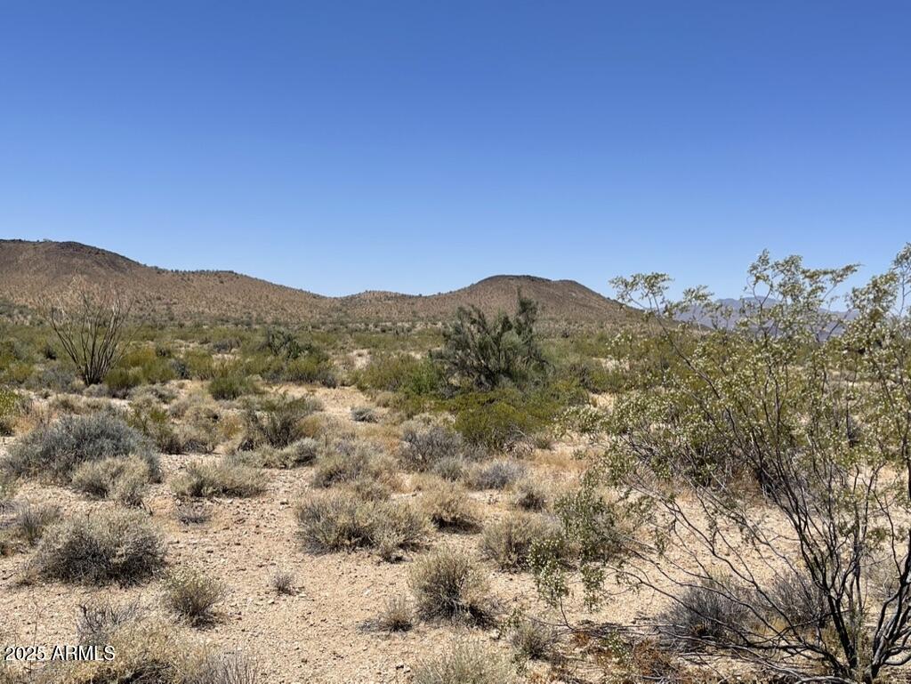 FRONTIER VALLEY - Land