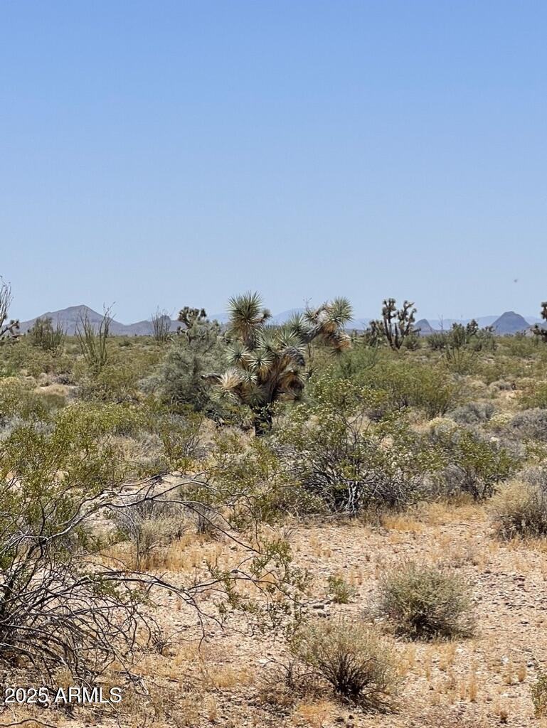 FRONTIER VALLEY - Land
