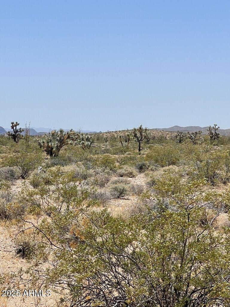 FRONTIER VALLEY - Land