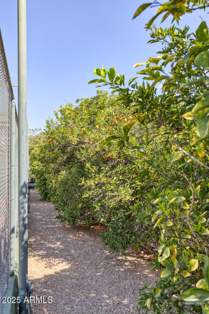 VAQUERO DRIVE AT GAINEY RANCH LOT 1-21 TR A - Residential