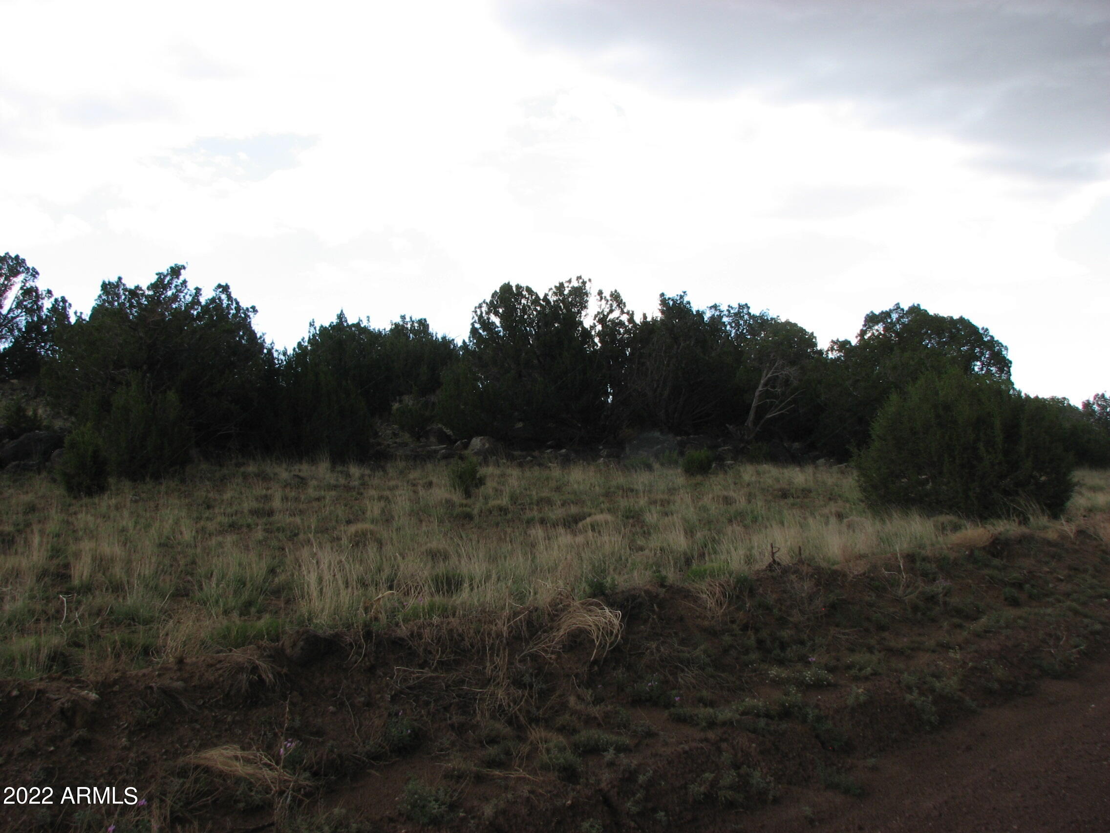 Show Low Pines Unit 5 - Land