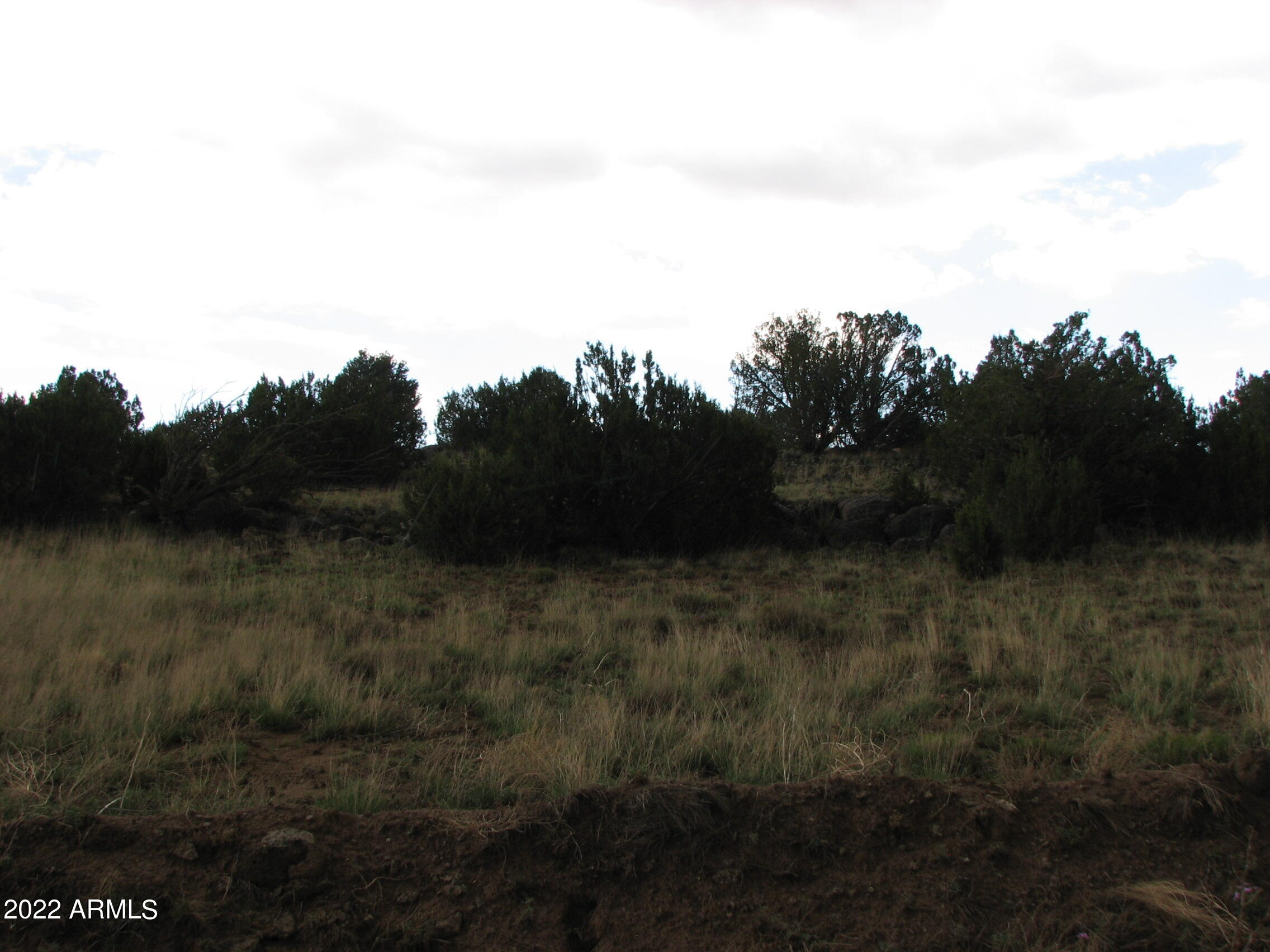 Show Low Pines Unit 5 - Land
