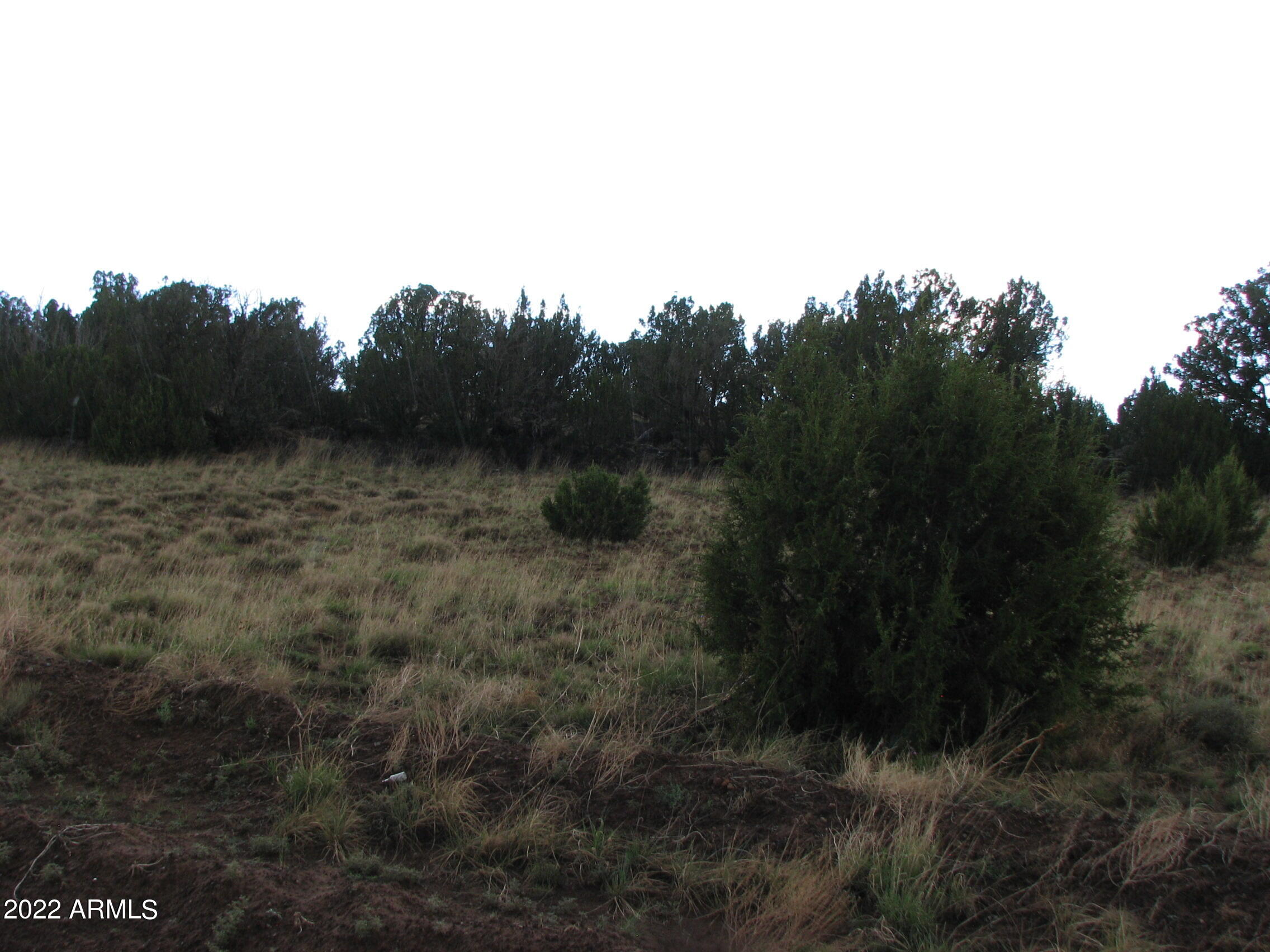 Show Low Pines Unit 5 - Land