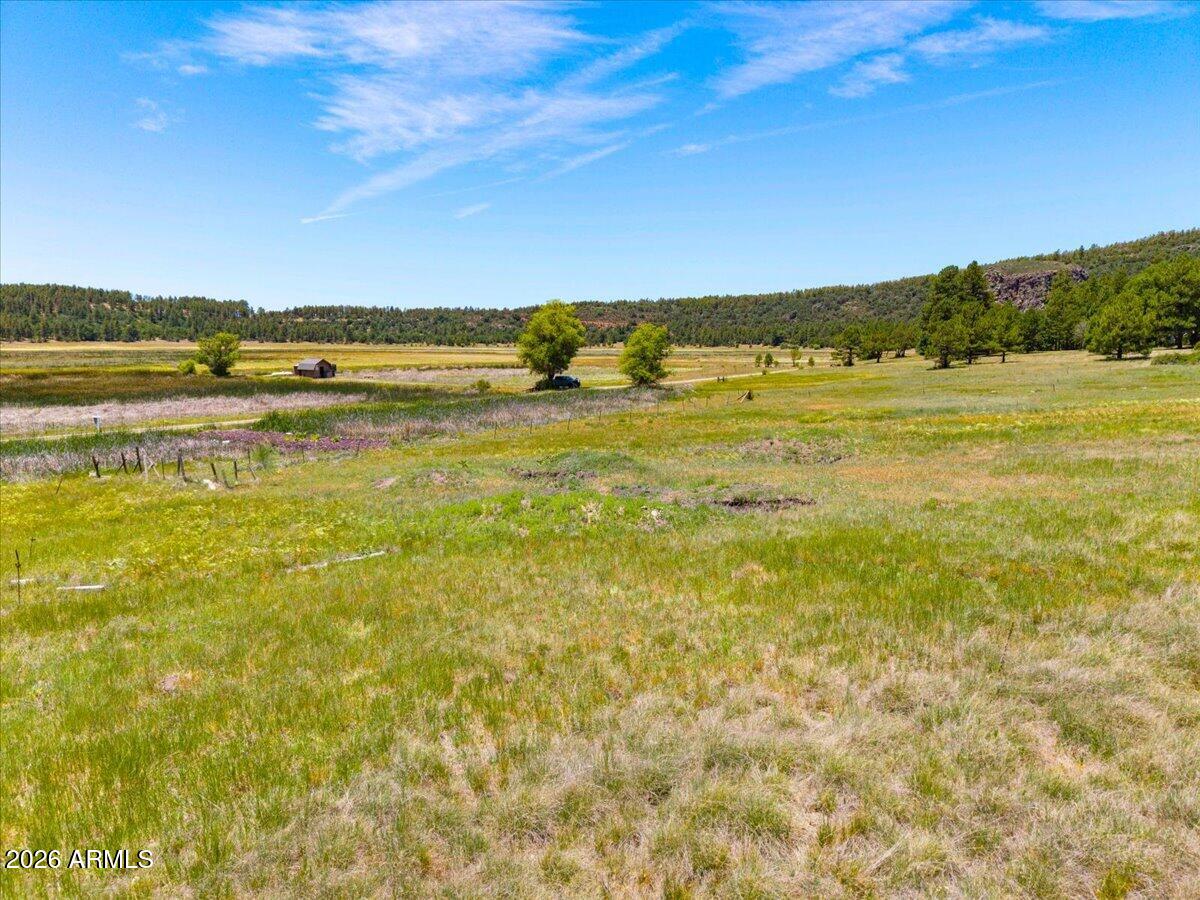 Ponderosa Paradise - Land