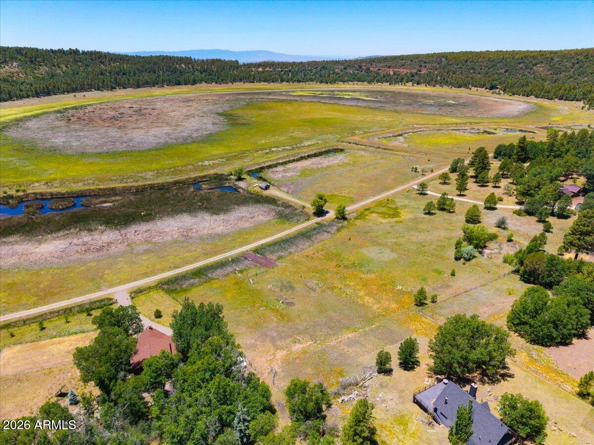 Ponderosa Paradise - Land
