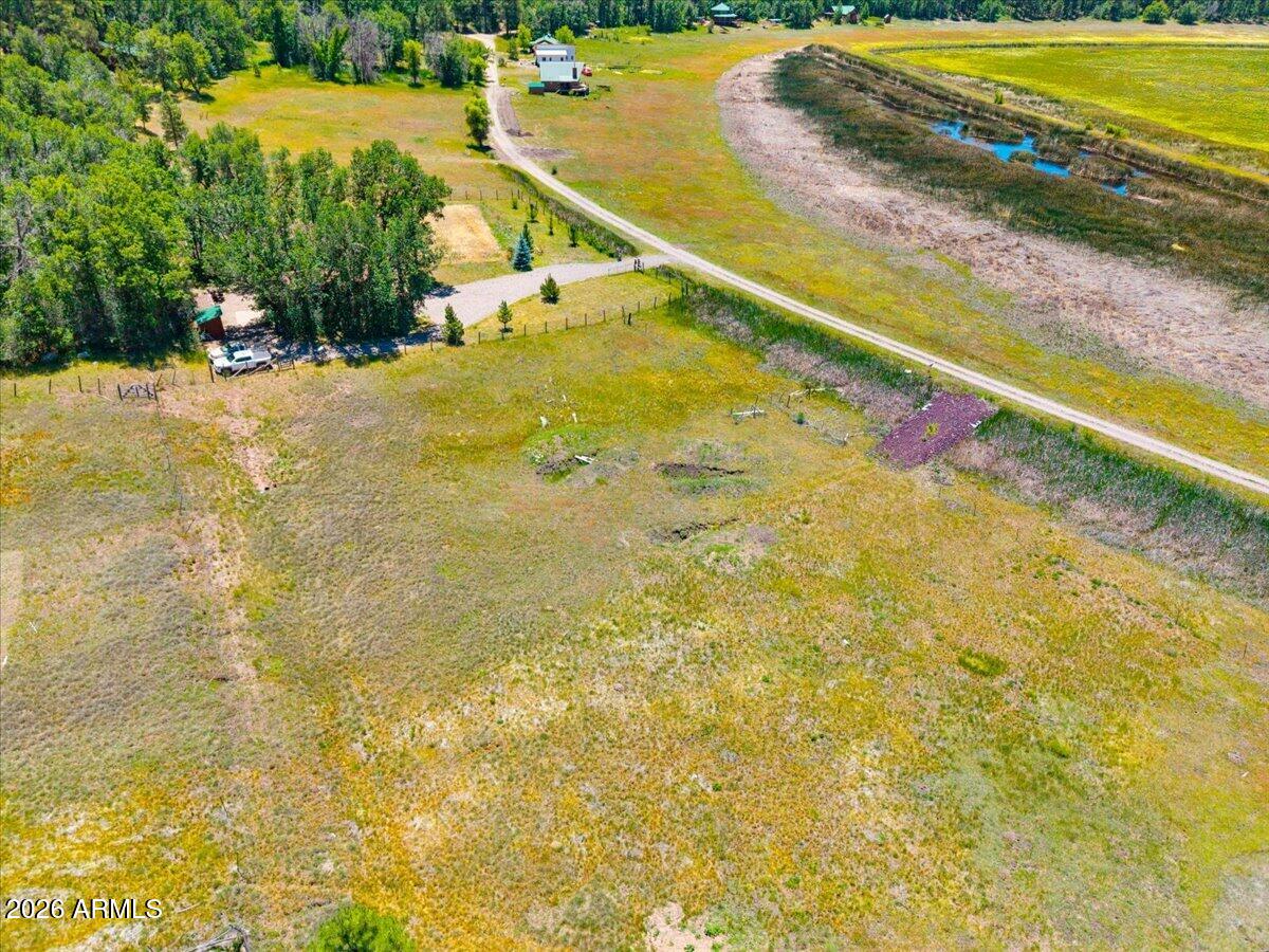 Ponderosa Paradise - Land