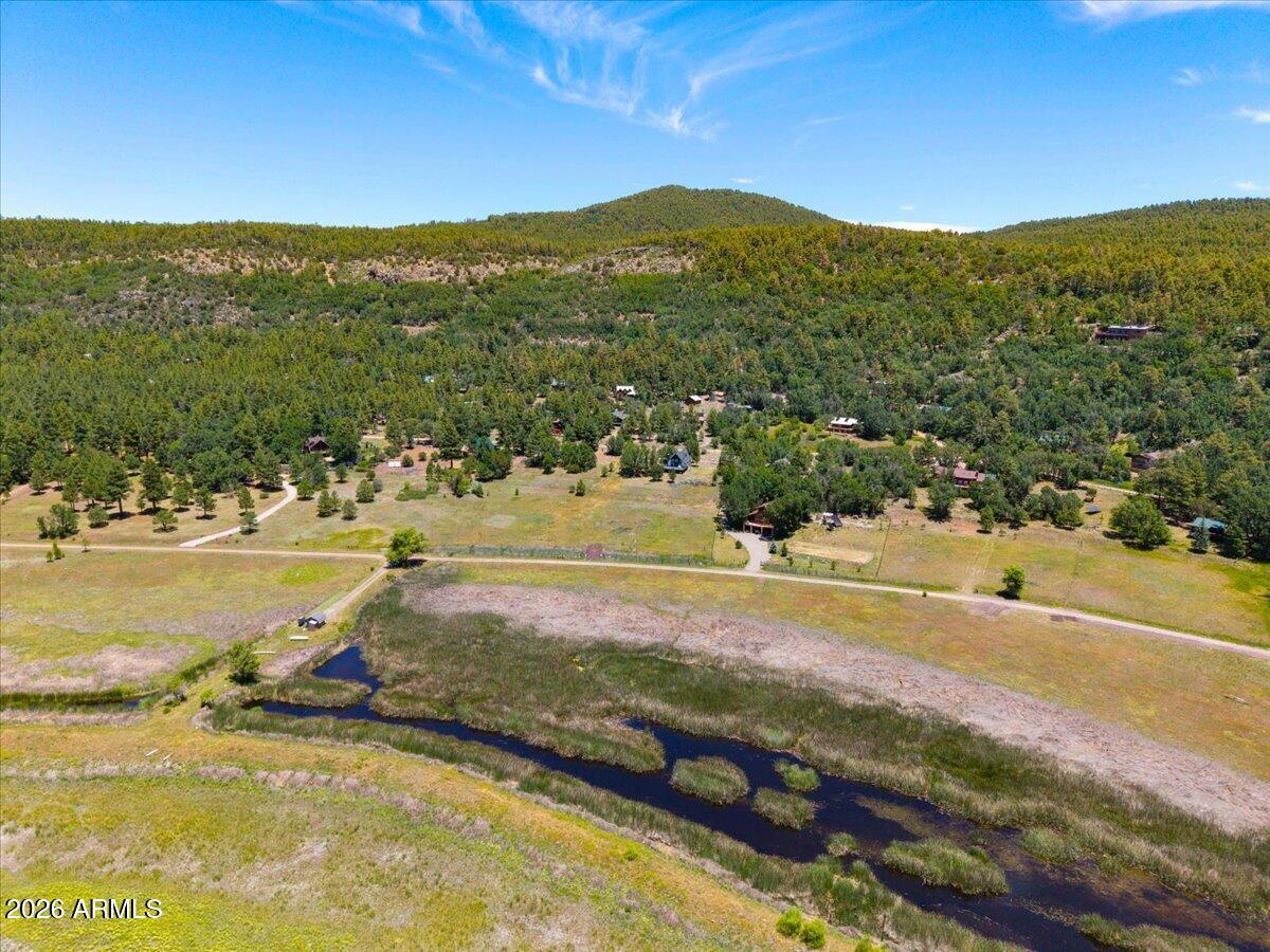 Ponderosa Paradise - Land