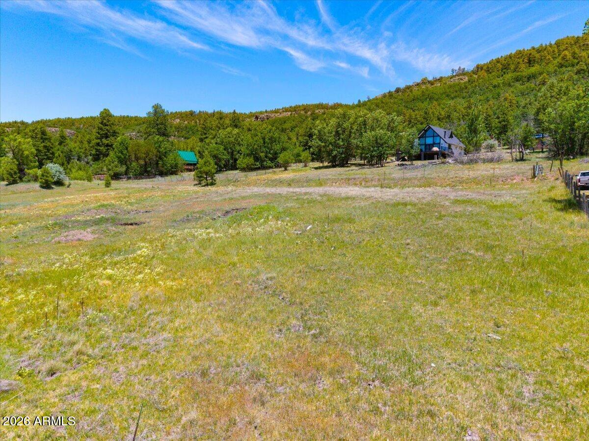 Ponderosa Paradise - Land