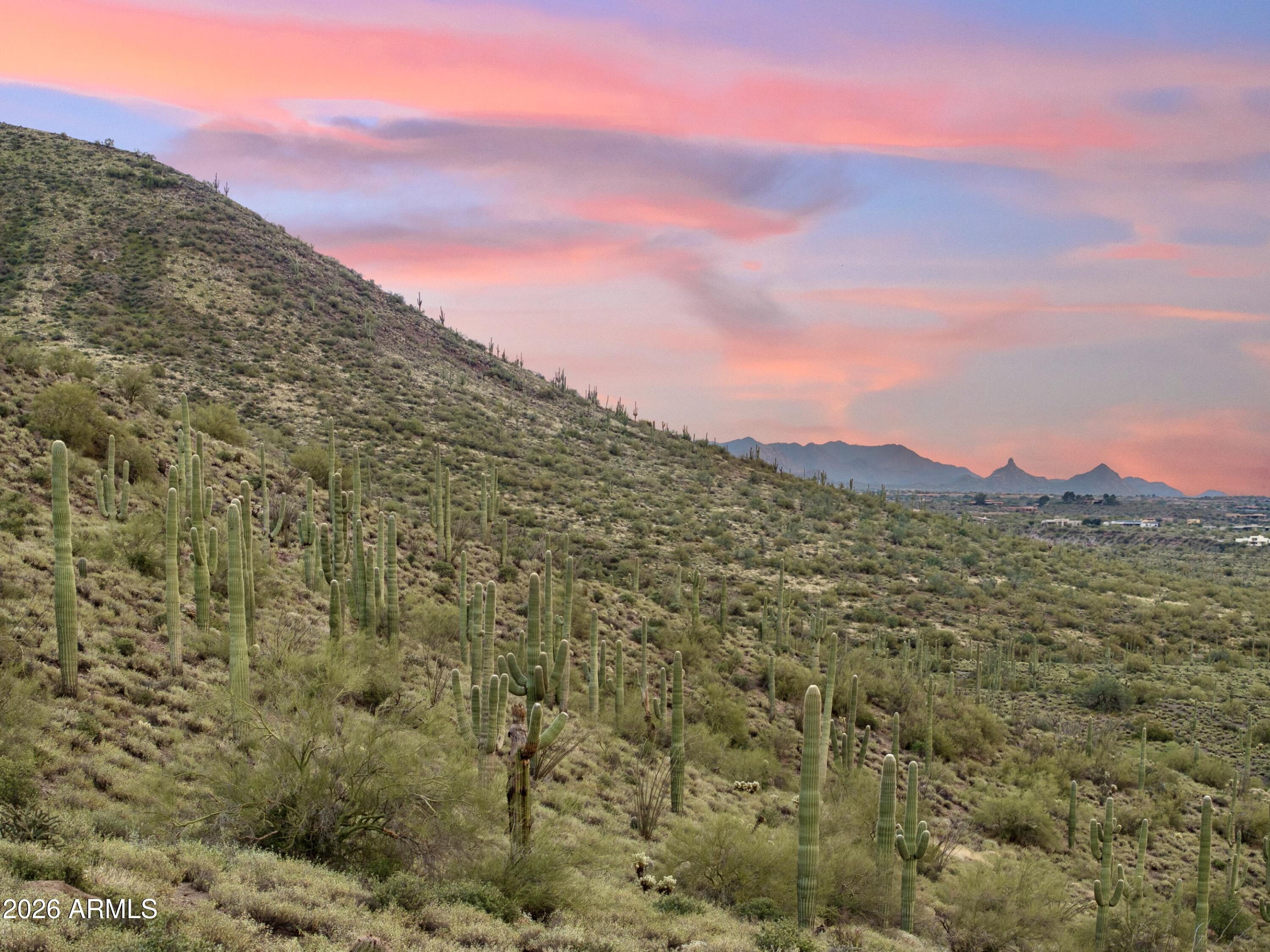 4.99 Acres - Land