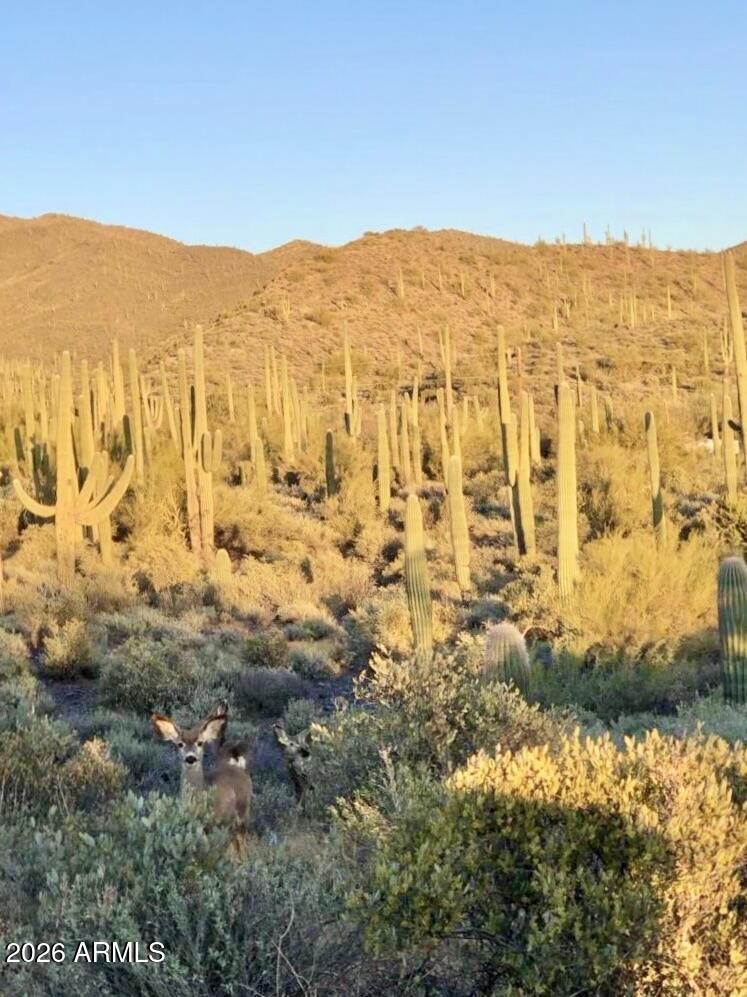 4.99 Acres - Land