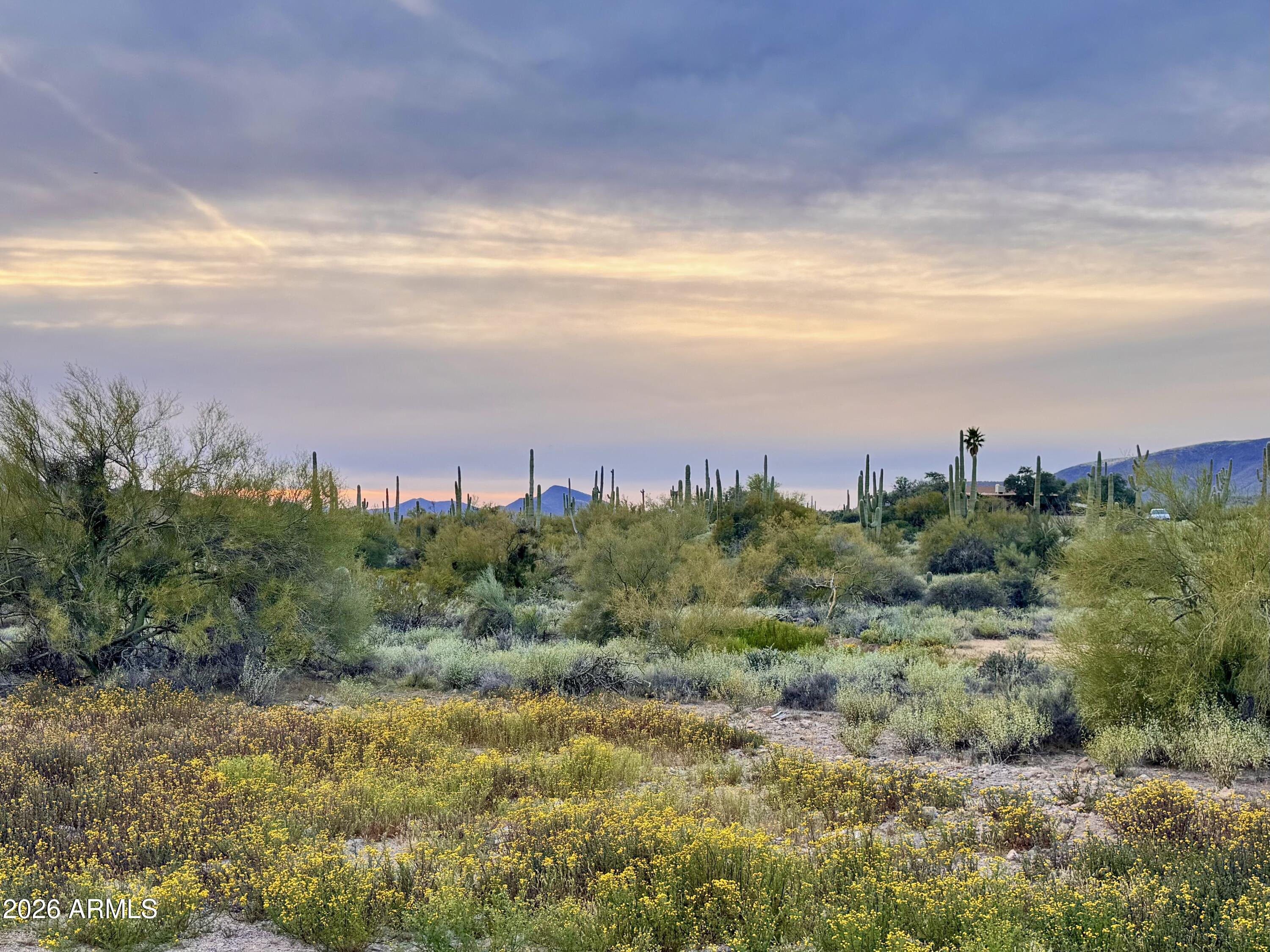 4.99 Acres - Land