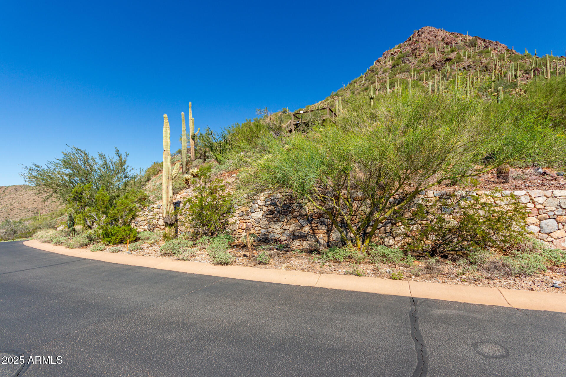Silverleaf - Land