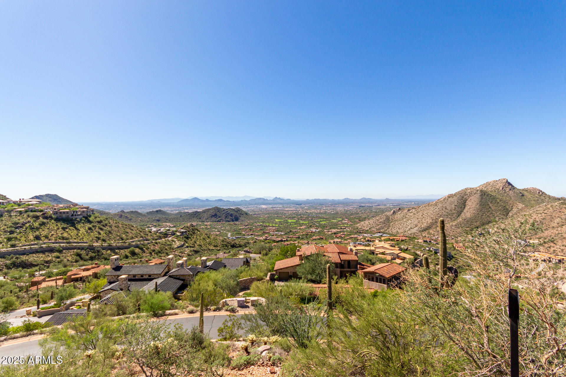 Silverleaf - Land