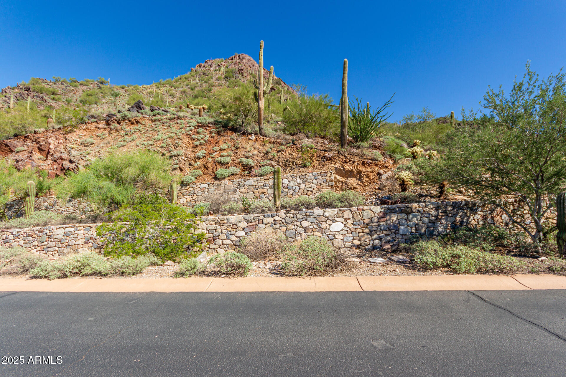 Silverleaf - Land