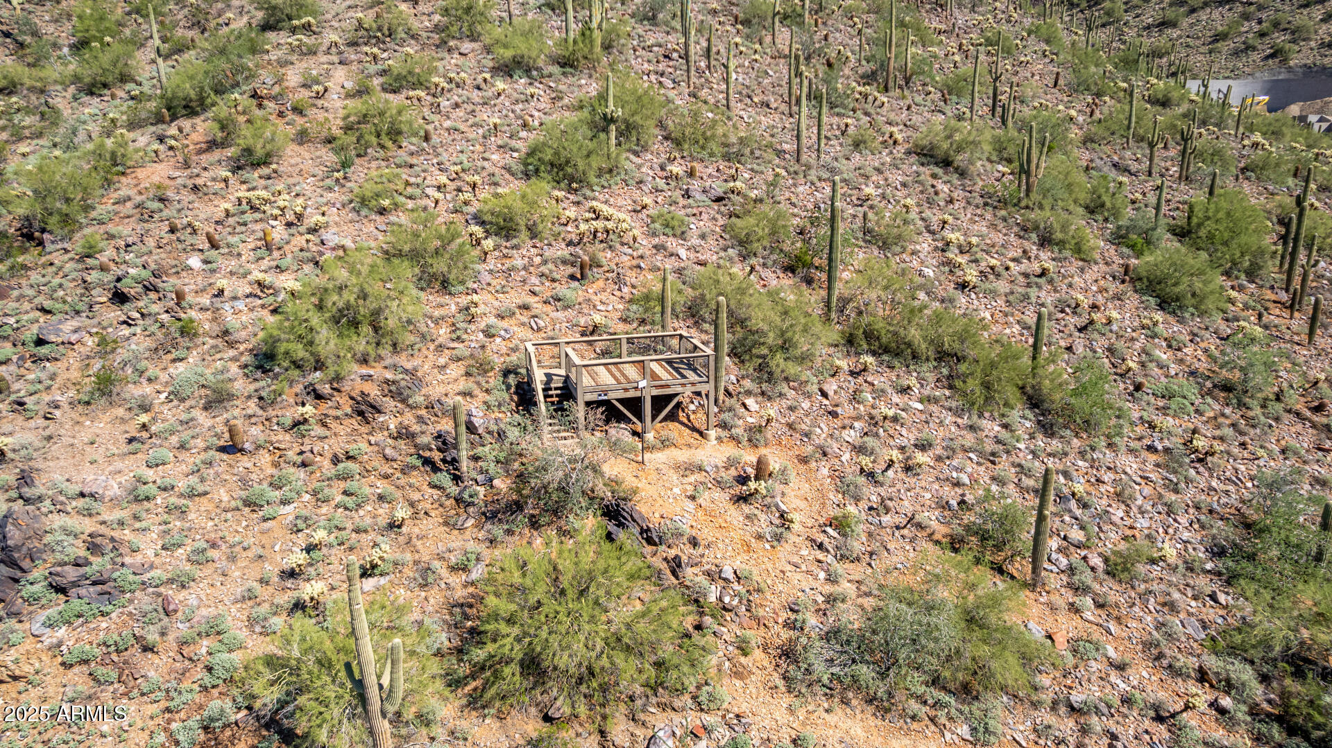 Silverleaf - Land