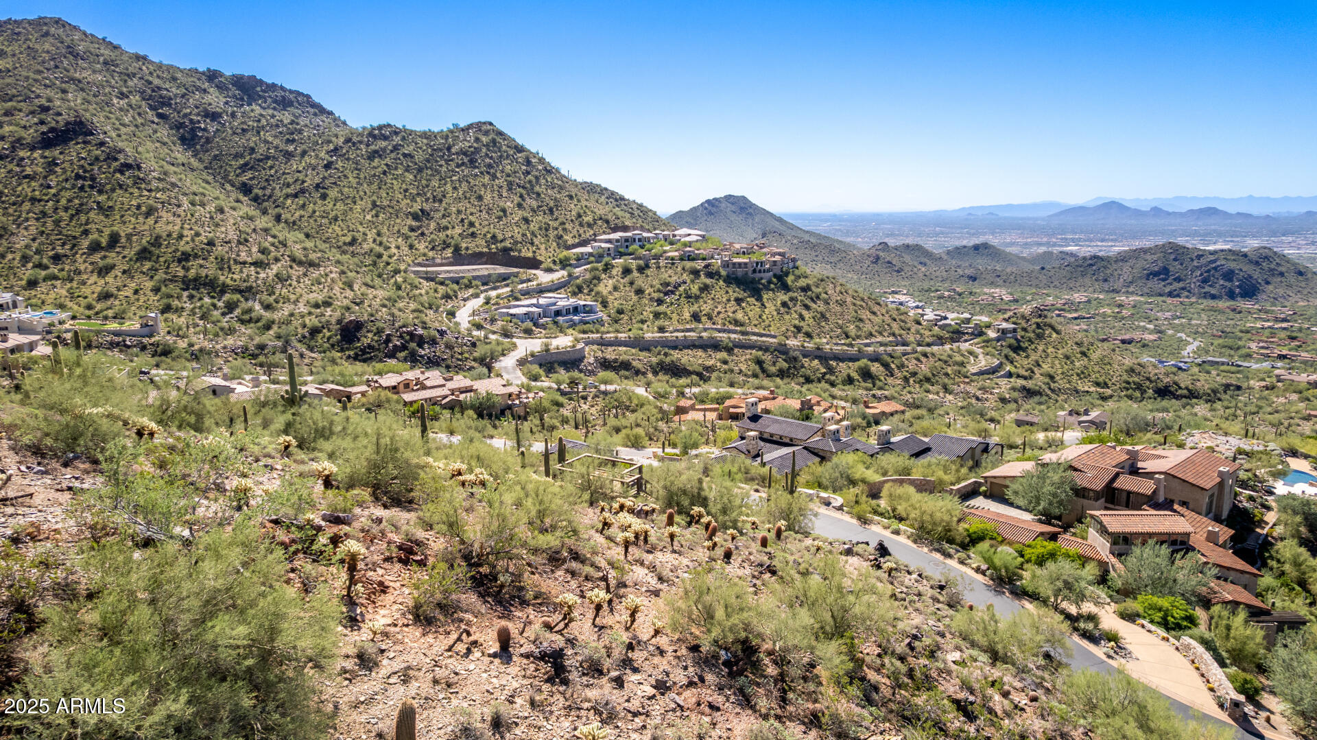 Silverleaf - Land