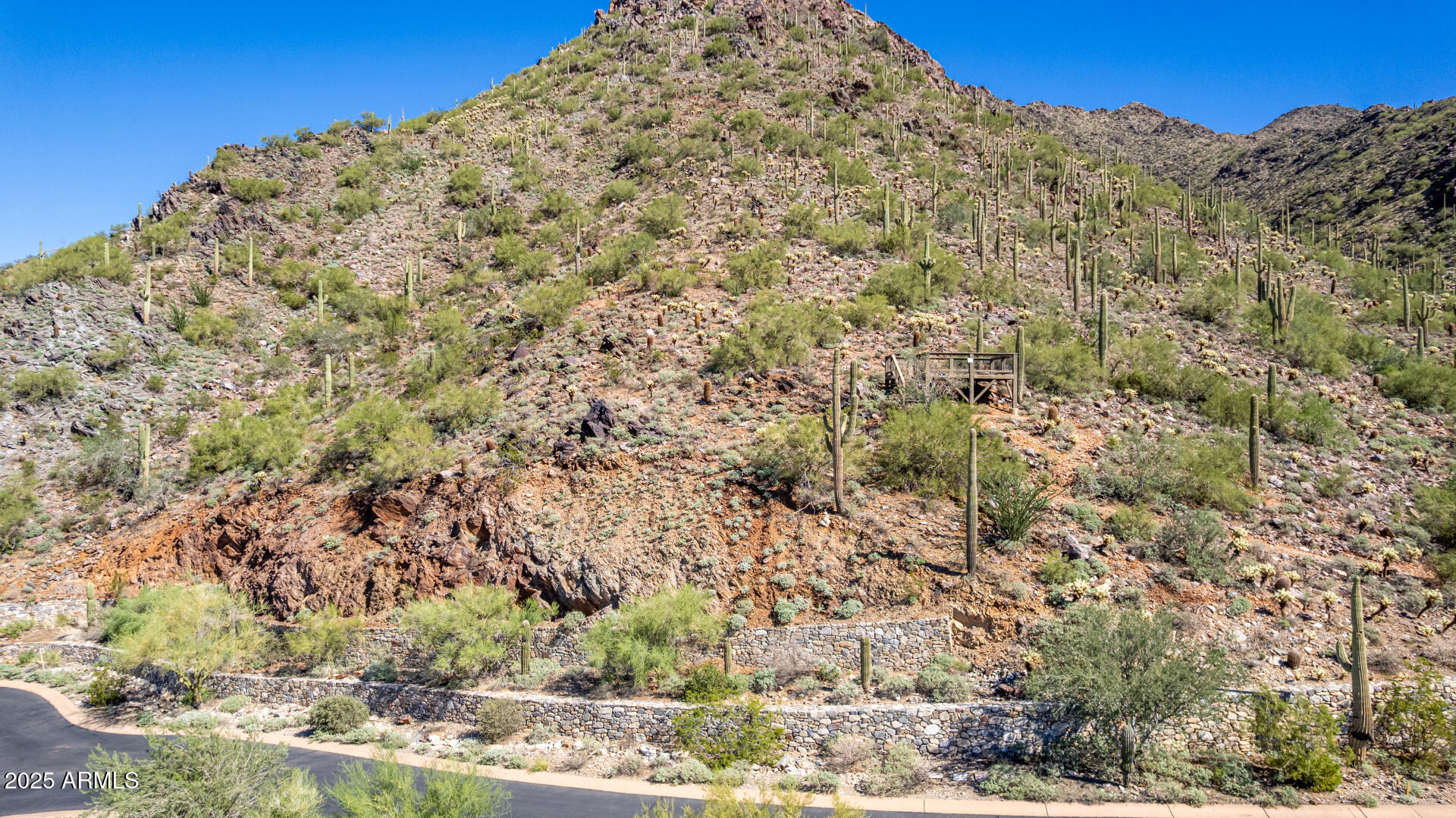 Silverleaf - Land
