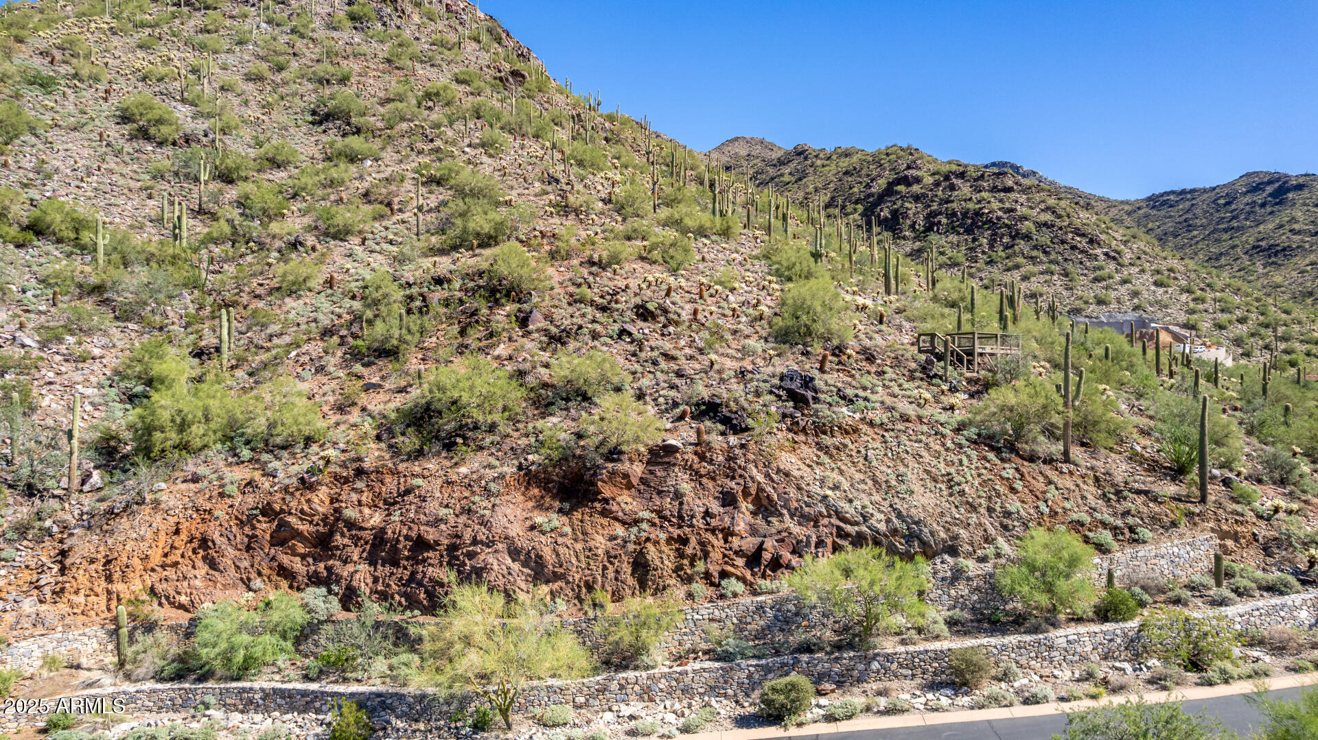 Silverleaf - Land