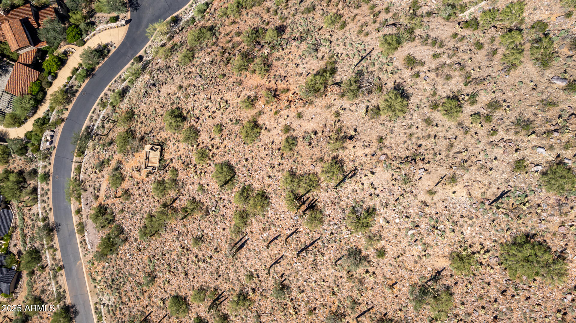 Silverleaf - Land