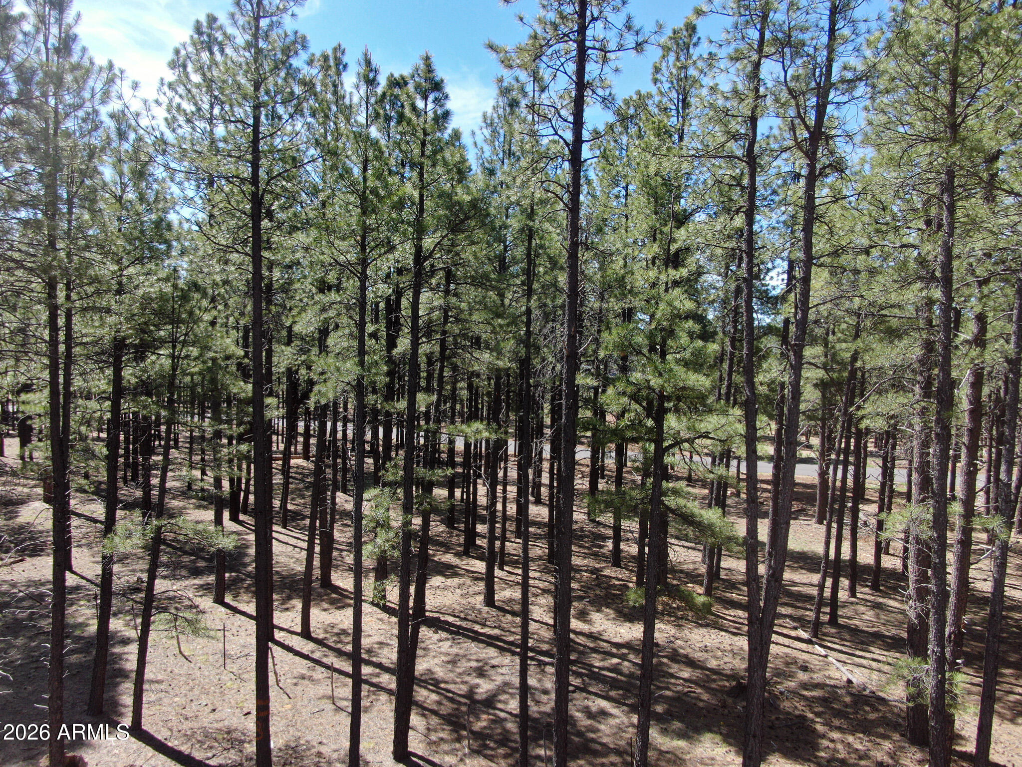 RANCH AT THE PEAKS PHASE 3 - Land