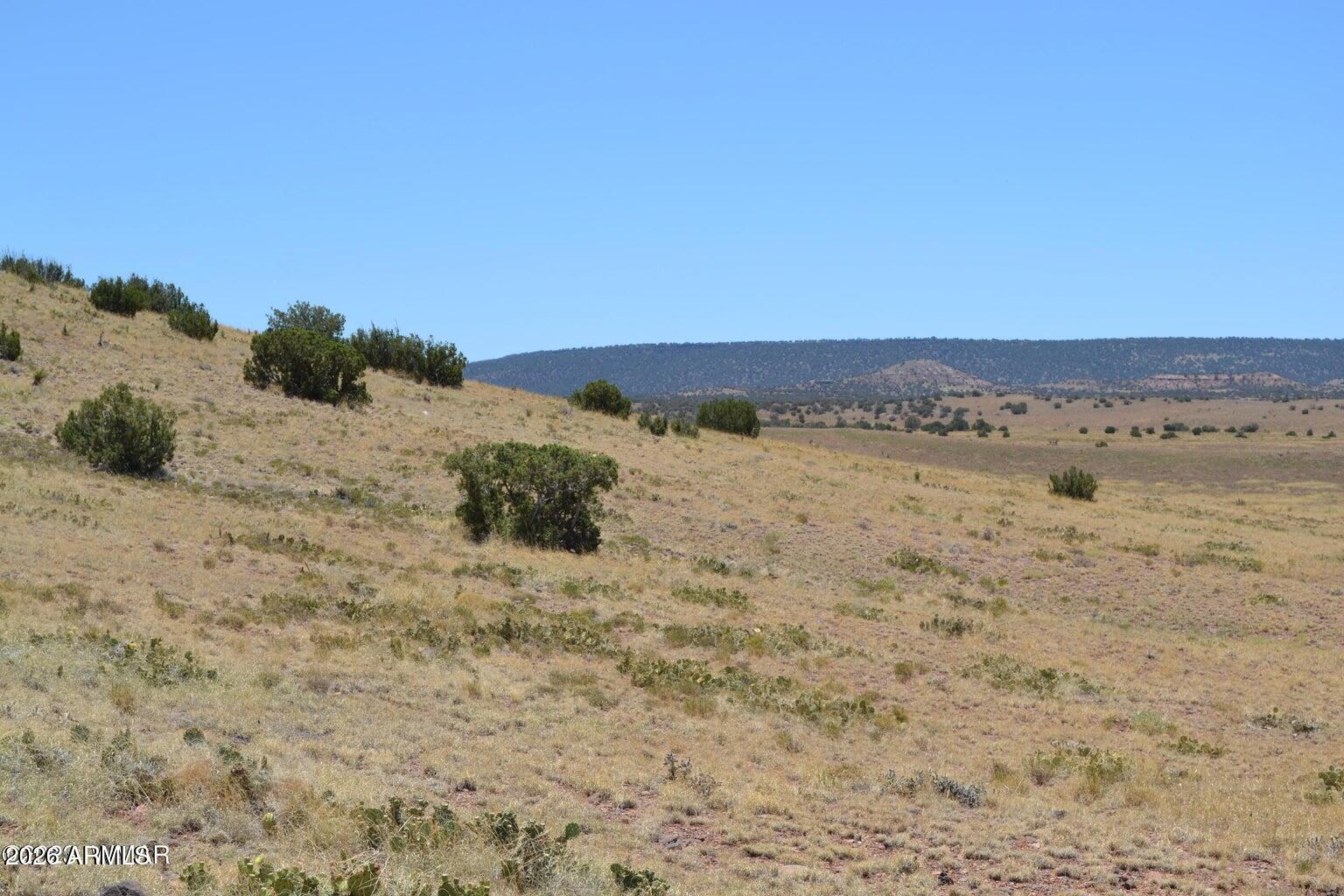 Great parcel just West of Concho. Incredible views. Rolling hills. No power in the area, so enjoy off grid living, only 7/10th of a mile from paved road. The road is is uneven and we recommend high clearance. Enjoy your own piece of land, with dark skies. Approx. 30 minutes from Snowflake to the West and 45 minutes to Show Low. Enjoy the four seasons with short winters, temperate summers with monsoonal rains. At an elevation of around 5700 ft. Owner found a couple of ideal homesites on the lot.