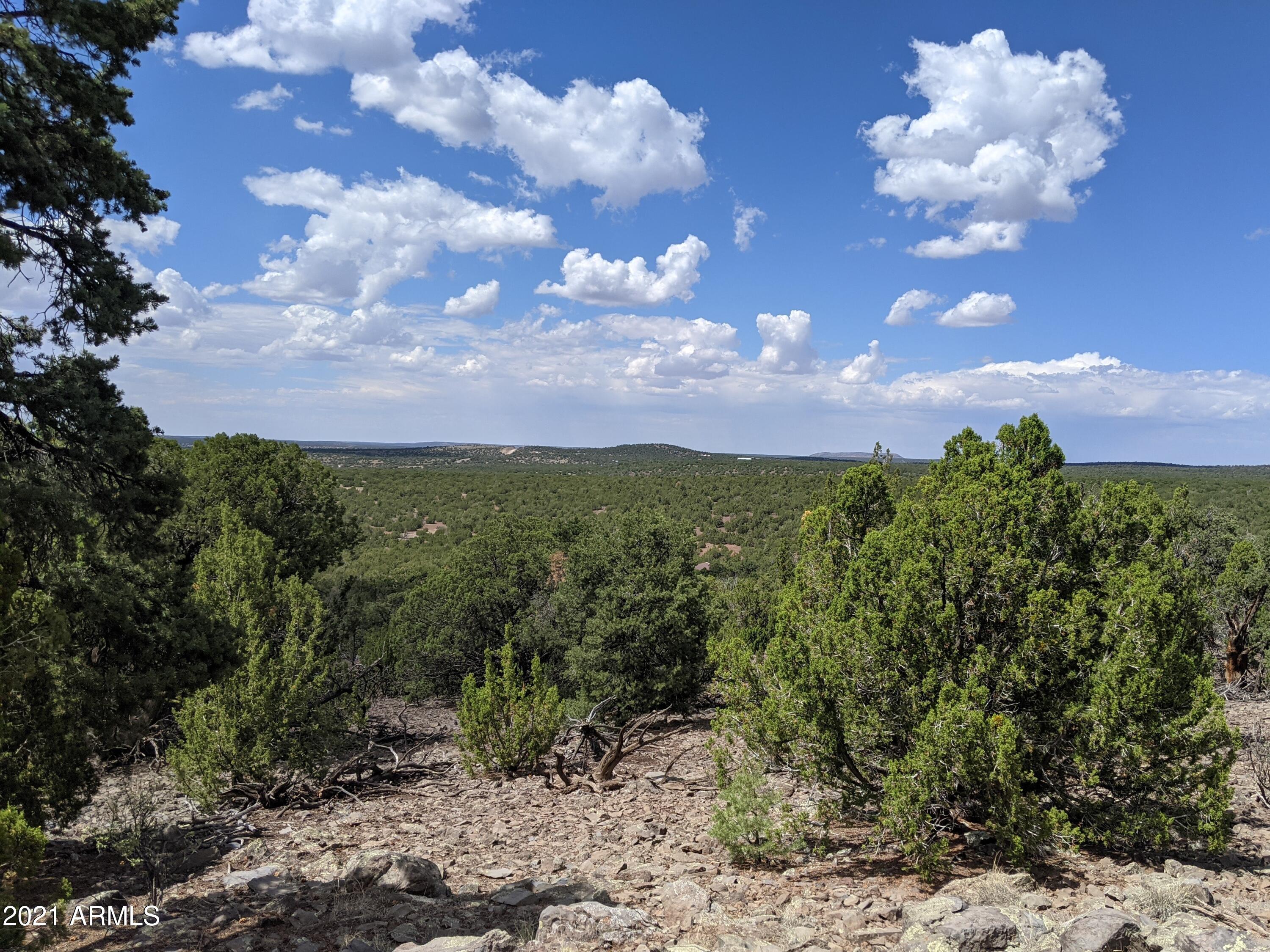 MOUNTAIN PINE RANCH UNIT 2 - Land
