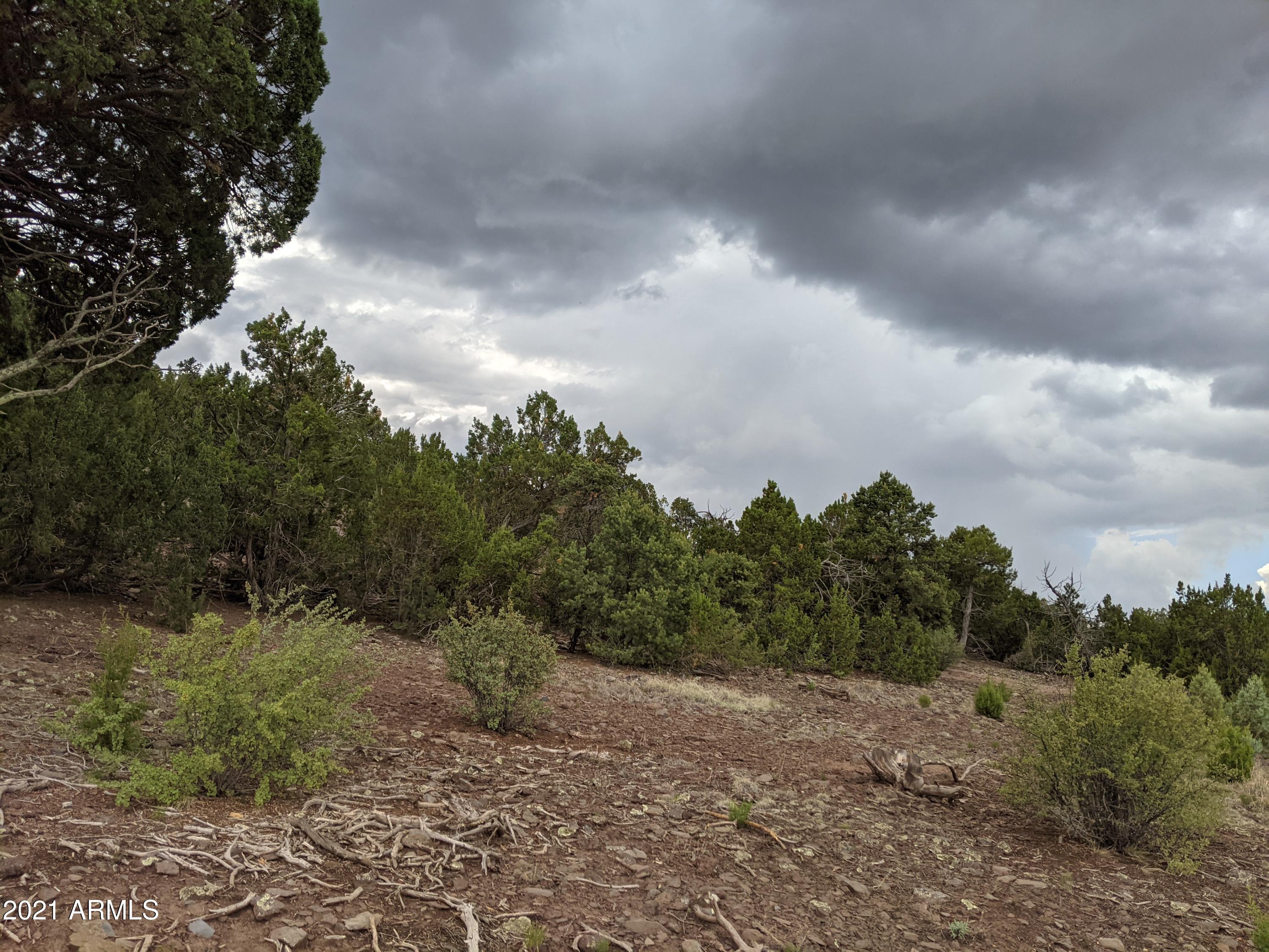 MOUNTAIN PINE RANCH UNIT 2 - Land