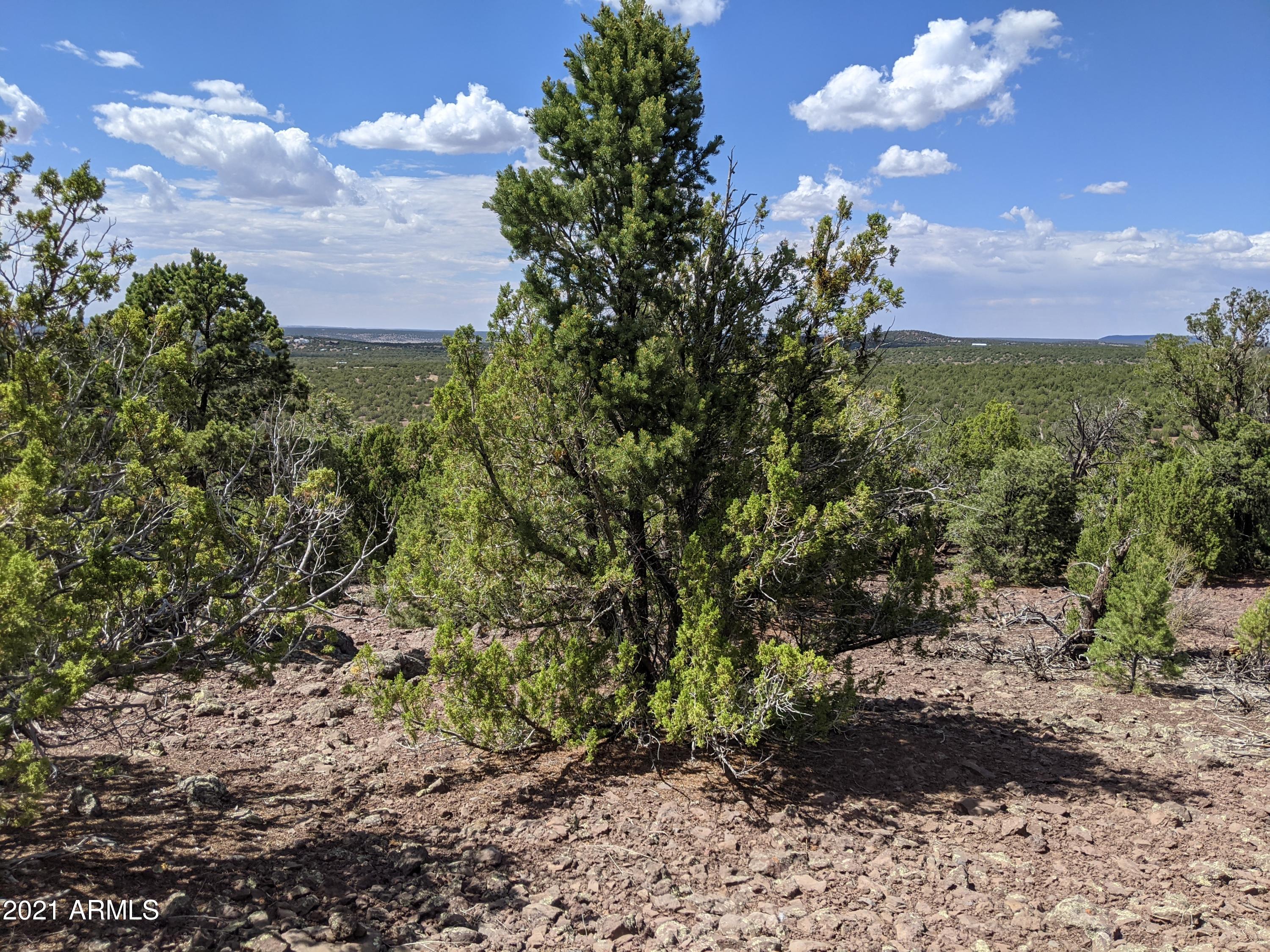 MOUNTAIN PINE RANCH UNIT 2 - Land