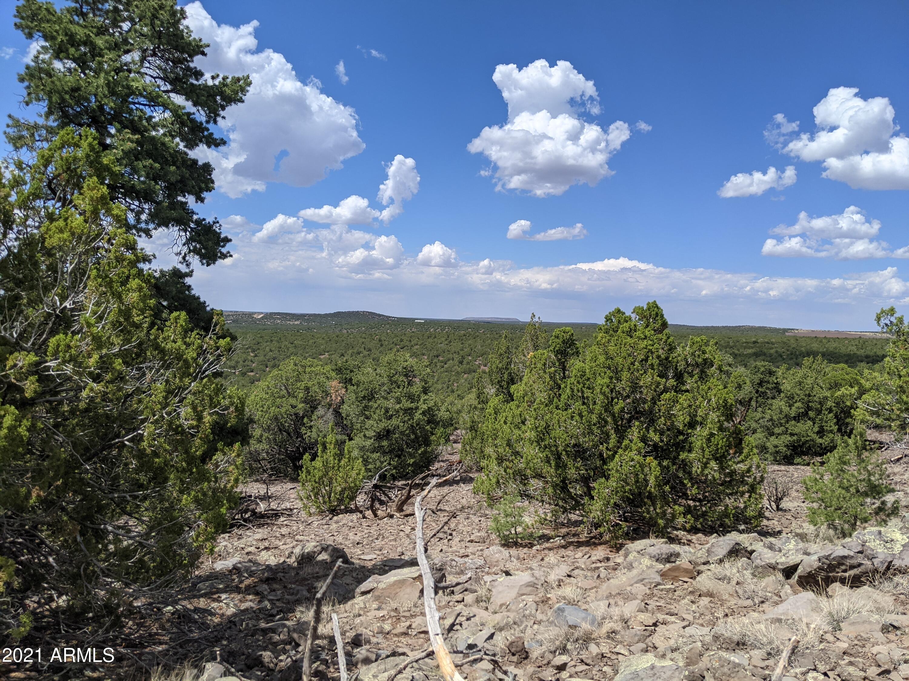 MOUNTAIN PINE RANCH UNIT 2 - Land