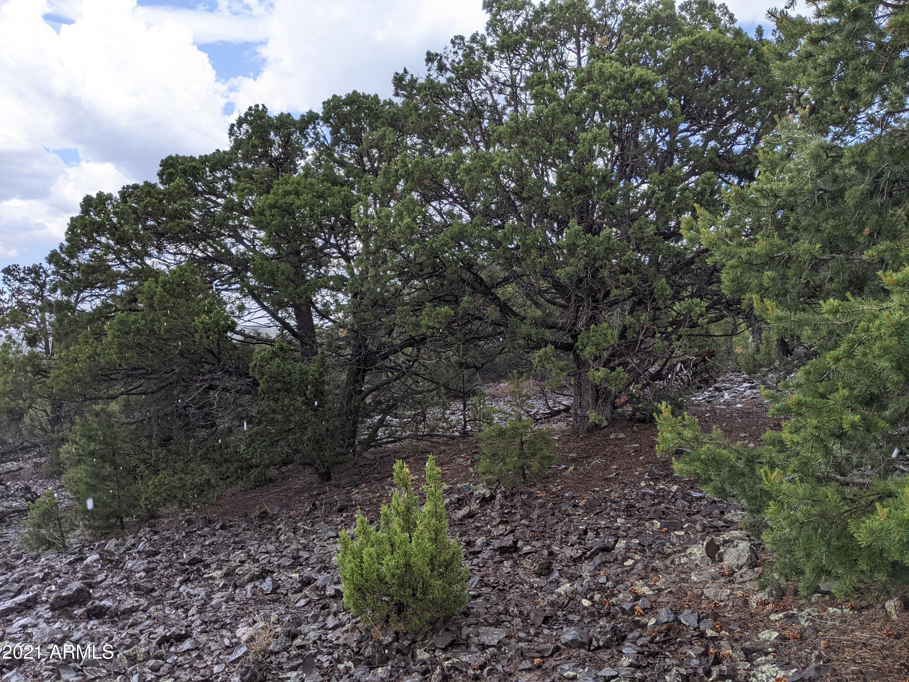 MOUNTAIN PINE RANCH UNIT 2 - Land