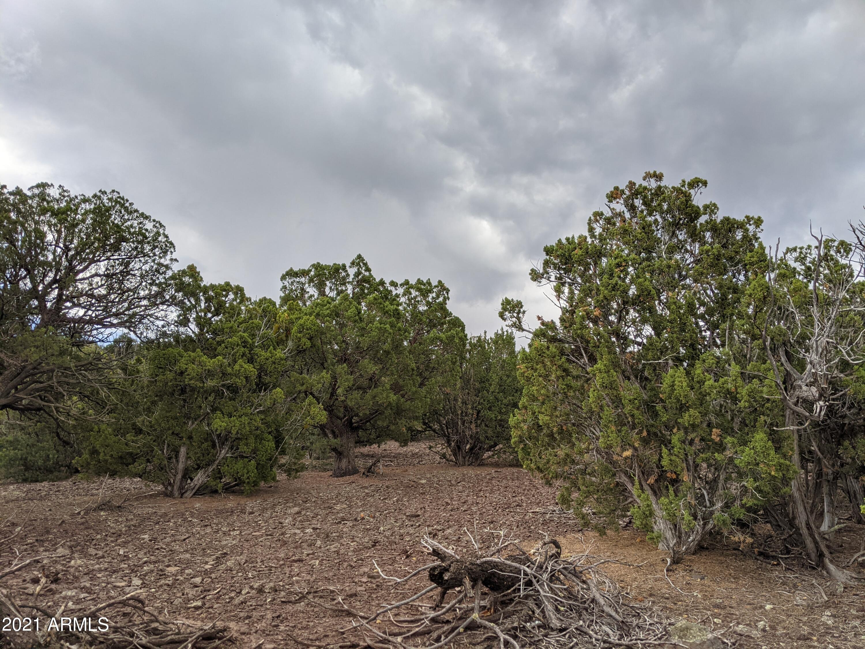 Looking for land to build your dream home with a VIEW?  Here it is! Must see this sloping, rectangle, 5.28 ac., heavily treed, with a building survey, house plans ready to build.   HOA is $100 per year and gives you a place for household waste & green waste, plus access to community well for water hauling or can drill your own well. Lots of wildlife around in this growing community. Close to town but has that country feel.