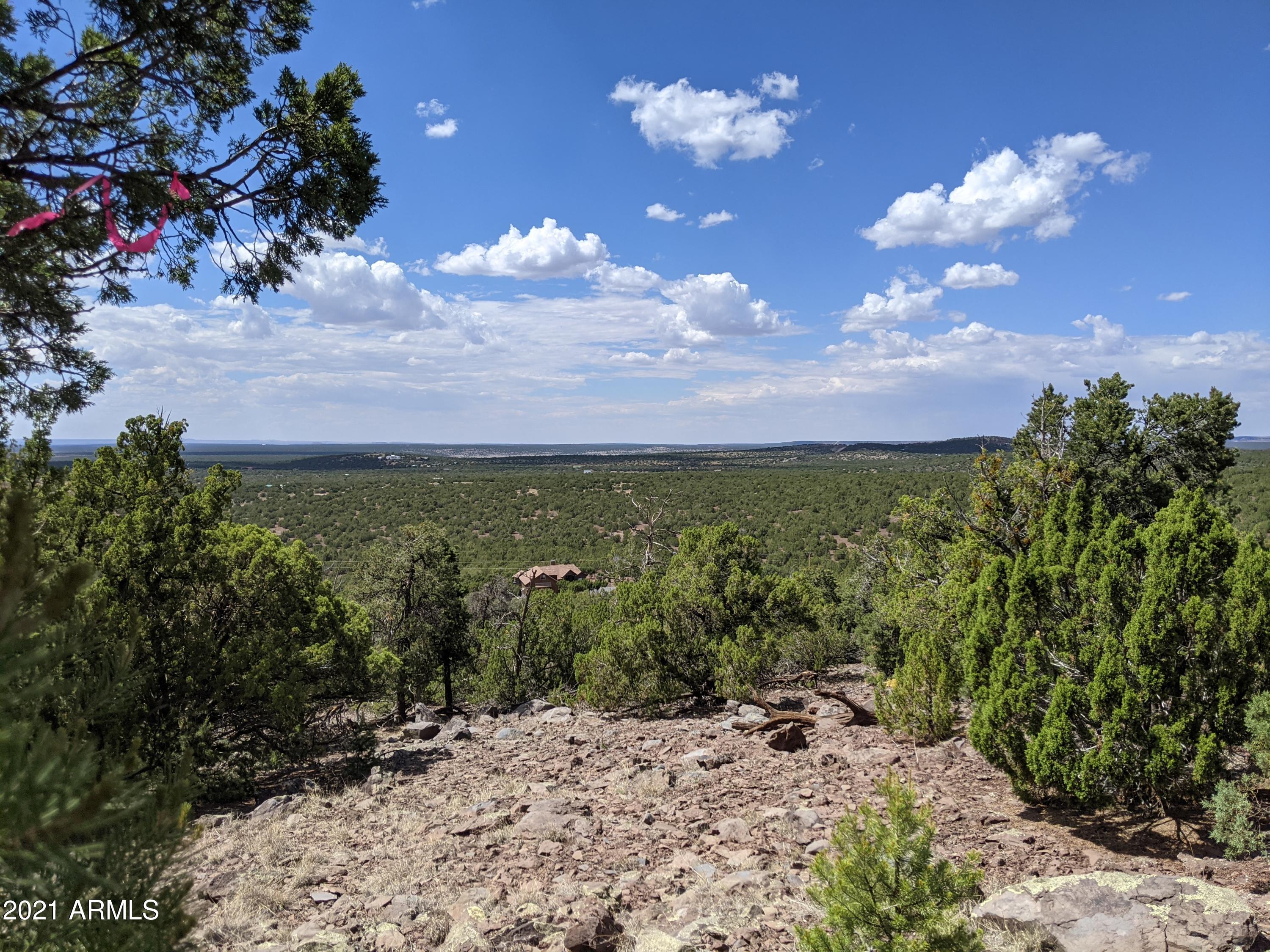 MOUNTAIN PINE RANCH UNIT 2 - Land