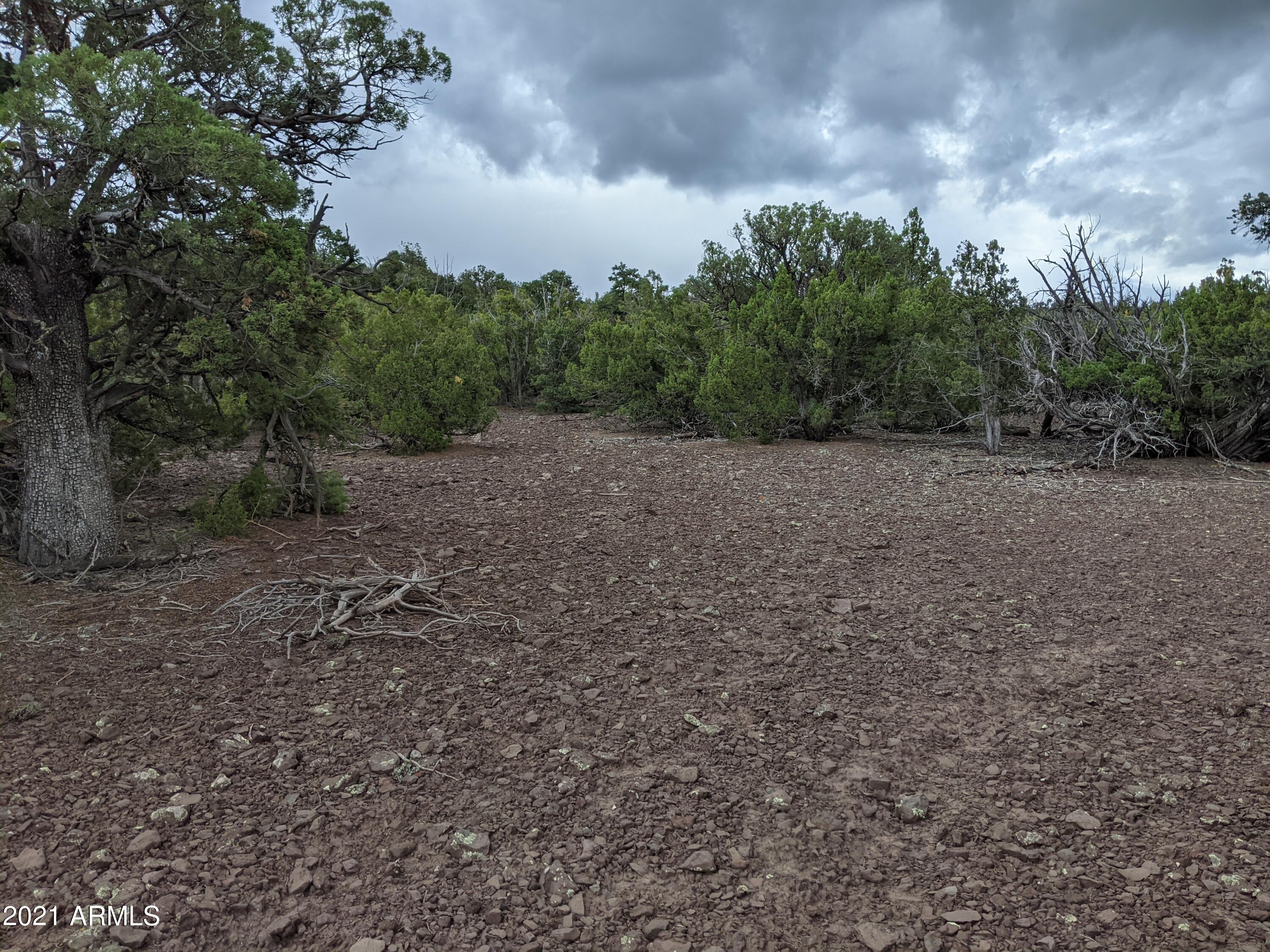 MOUNTAIN PINE RANCH UNIT 2 - Land