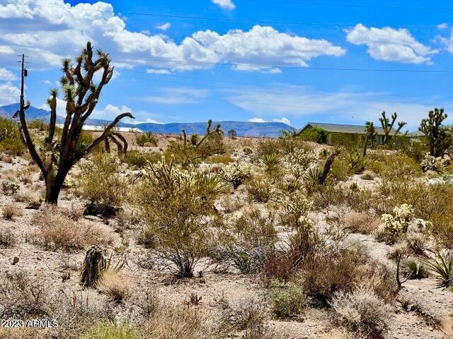 MEADVIEW VALLEY UNIT 2 - Land