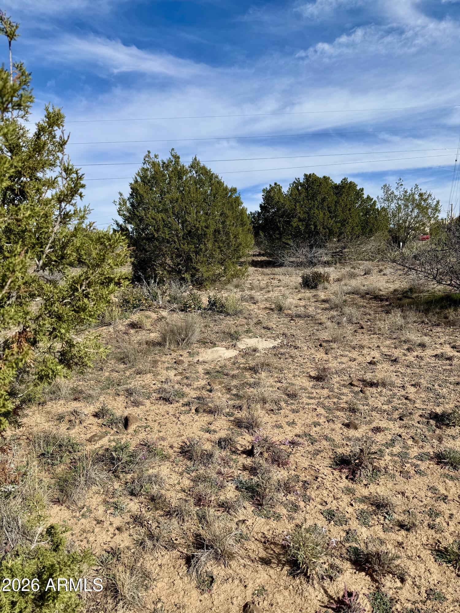 WICKIUP MESA UNIT 3 - Land