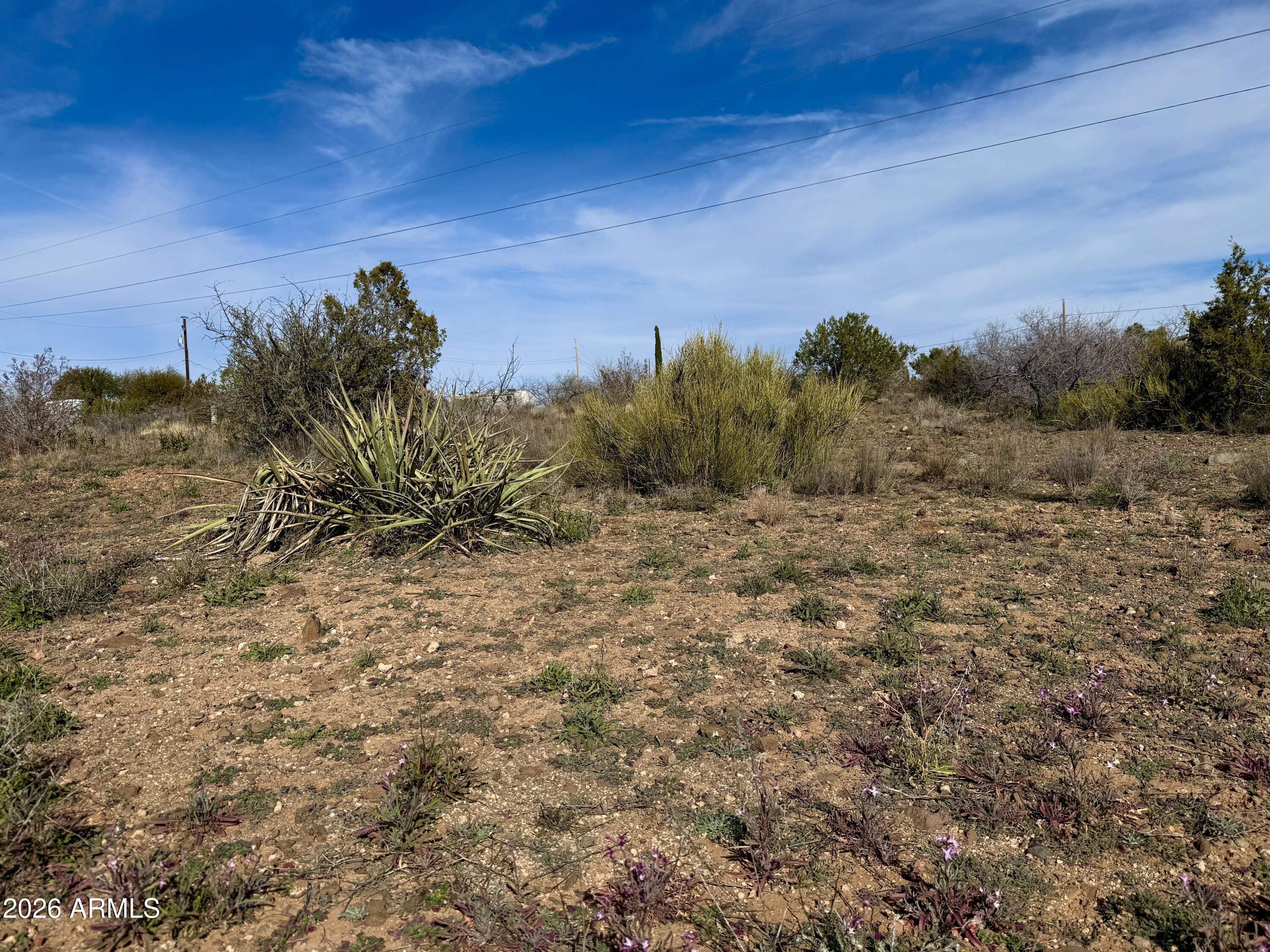 WICKIUP MESA UNIT 3 - Land