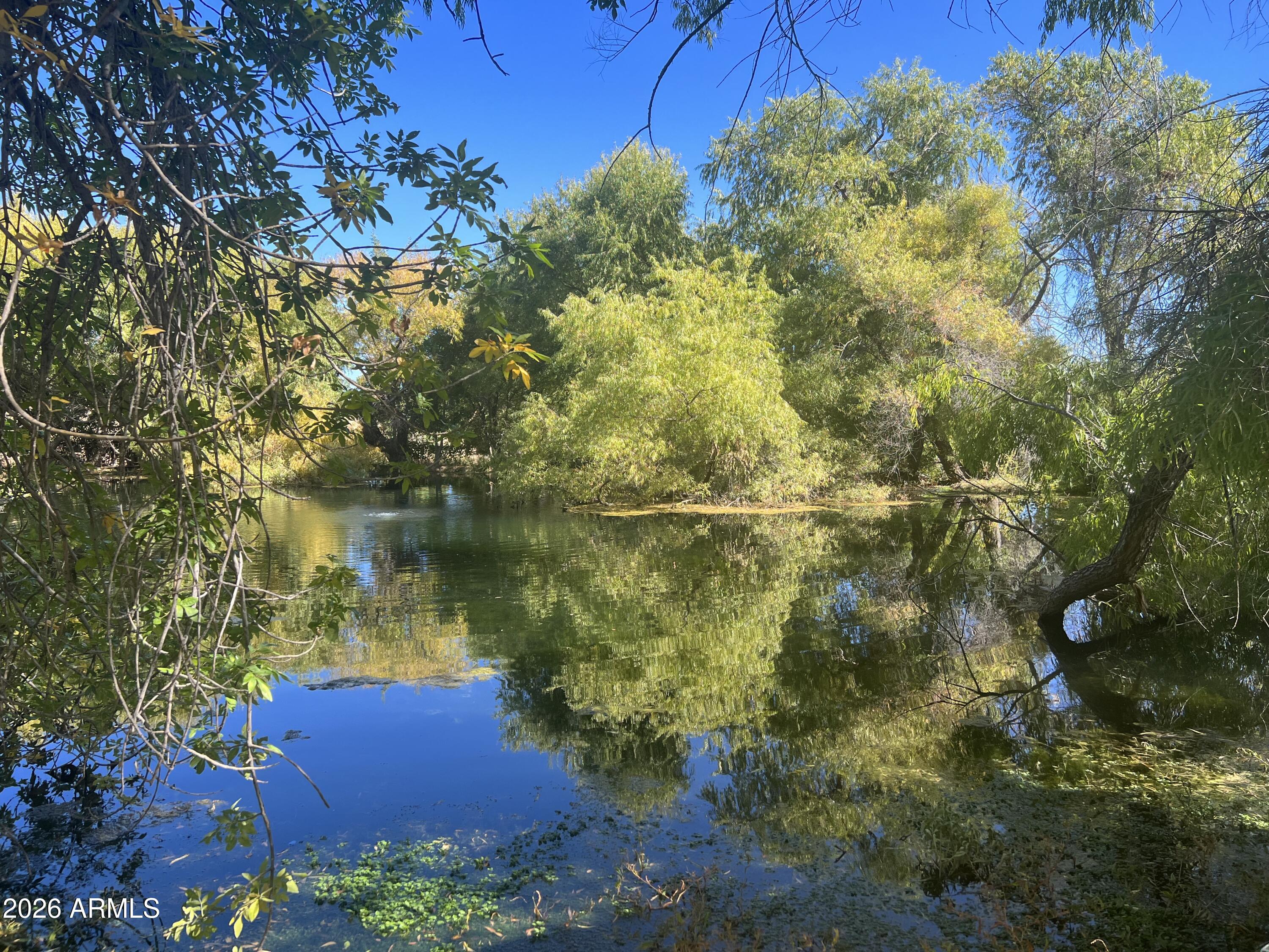In the heart of Southern Arizona's landscape lies a hidden sanctuary that defies expectations. Truly a ''unicorn'' property, this exceptional Ash Canyon acreage offers a rare combination of  privacy, sweeping mountain views, and an abundance of natural, self-sustaining water resources that are nearly impossible to find in the Southwest. A private pond fed by a natural spring surrounded by mature trees. Abundant wildlife, sweeping views of the San Pedro valley, numerous building sites, private well with electric located on the property. Nothing more valuable than water!