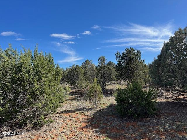 Tucked among the pines in Overgaard, this .58-acre homesite offers the perfect setting to build your mountain retreat. Perched near the top of Lodgepole Road on peaceful Sunrise Road, the property captures the qualities of Arizona's high country with cooler year-round temperatures, crisp mountain air, and breathtaking sunset views. Surrounded by natural beauty, this spacious lot provides ample room for a custom cabin while still offering convenient access to nearby lakes, trails, and outdoor recreation. Whether you envision a weekend escape or full-time mountain living, this property is your opportunity to create something truly special on the Mogollon Rim.