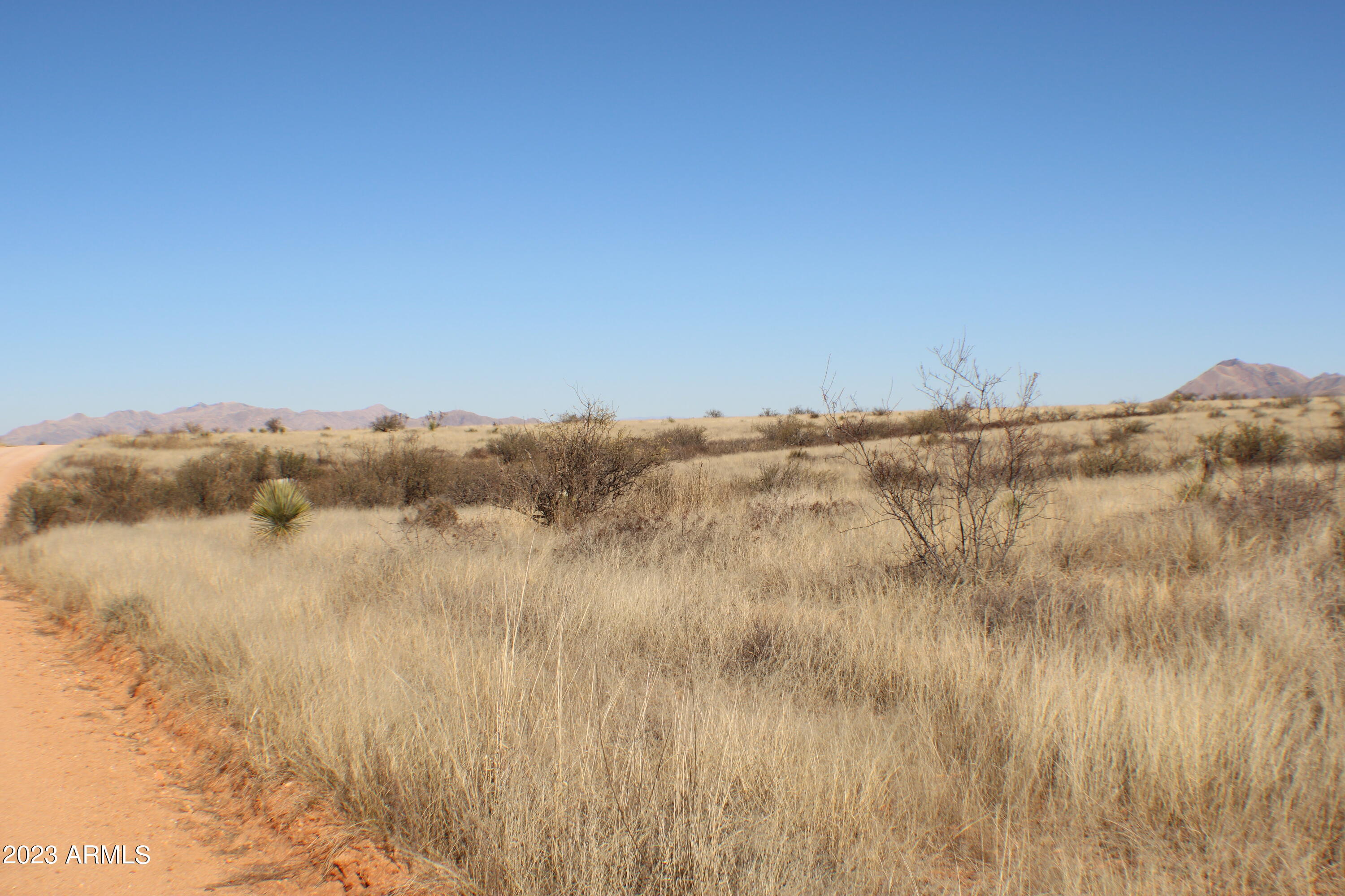 DRAGOON MOUNTAIN RANCH UNIT 3 LOT 54 36.37AC - Land