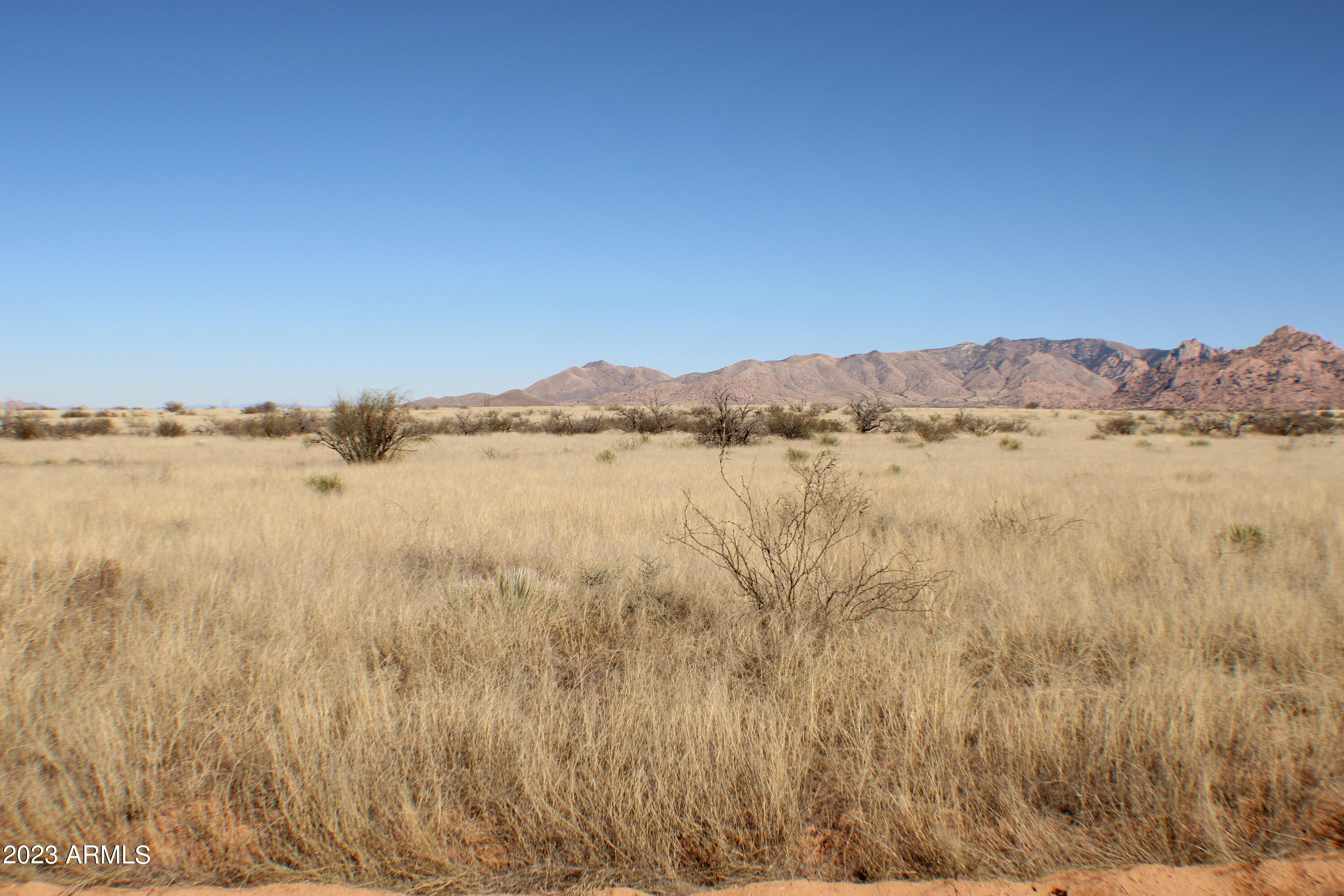 DRAGOON MOUNTAIN RANCH UNIT 3 LOT 54 36.37AC - Land