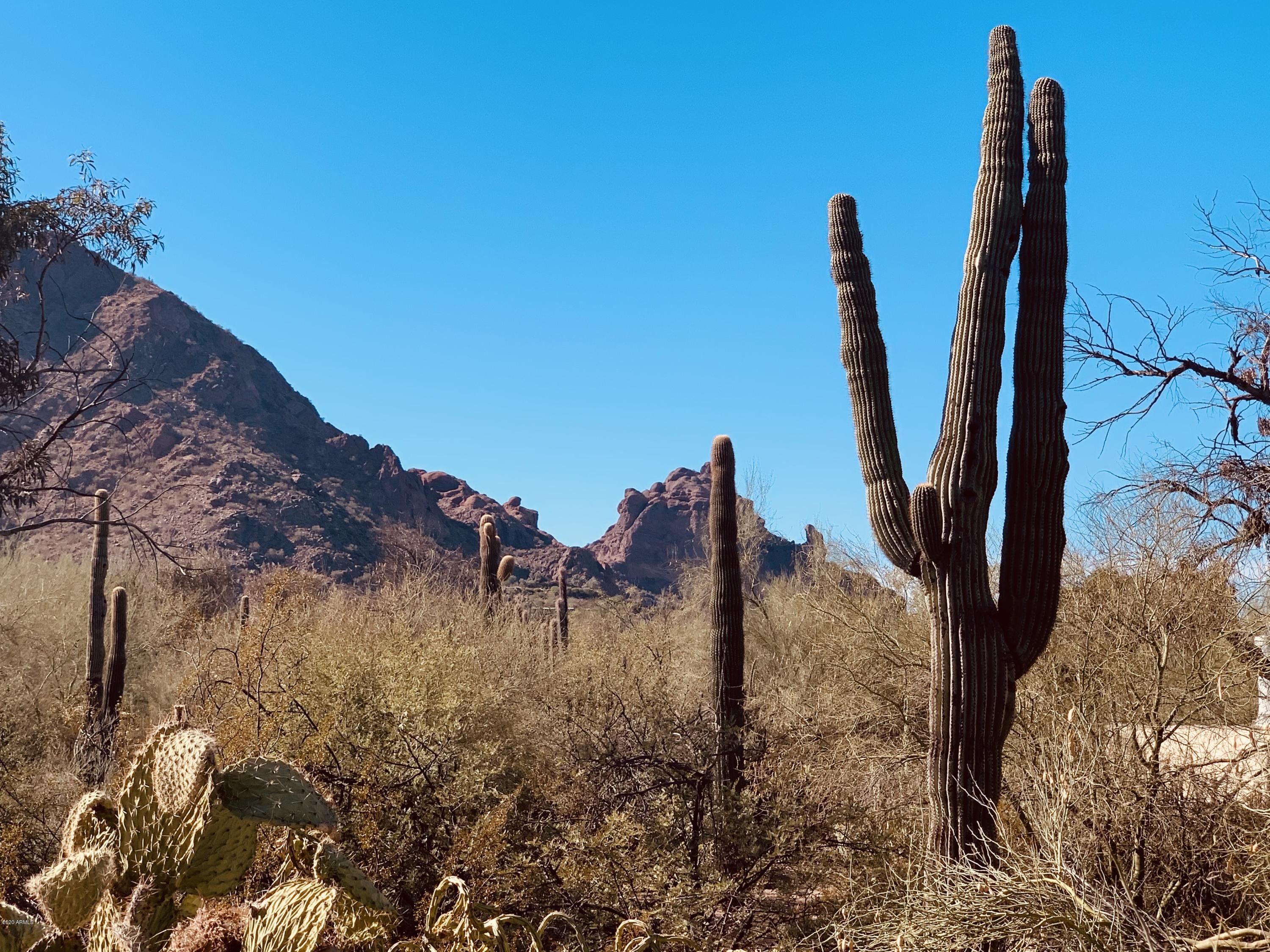 JOKAKE CAMELBACK PROPERTIES TRACT A - Land