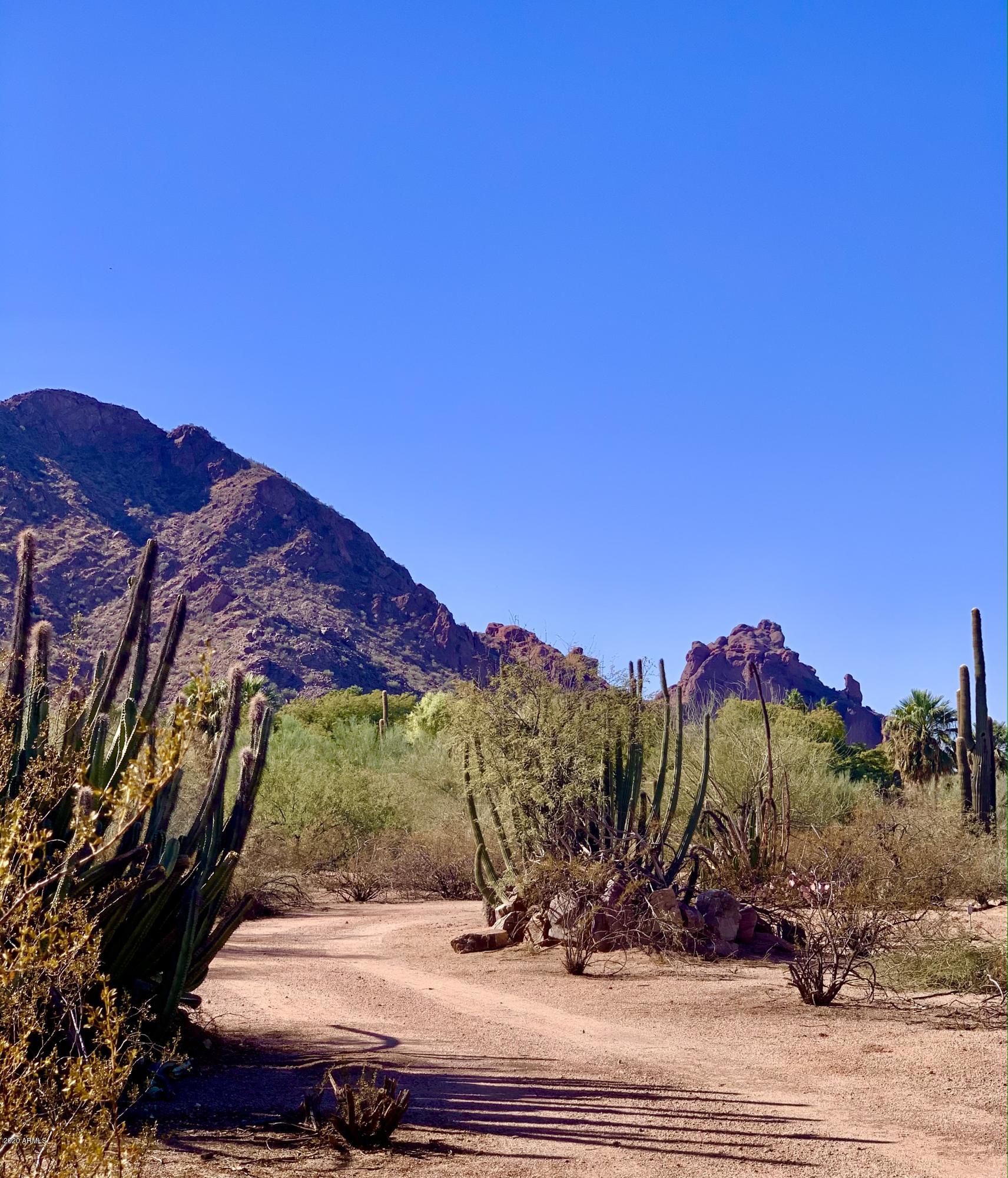 JOKAKE CAMELBACK PROPERTIES TRACT A - Land