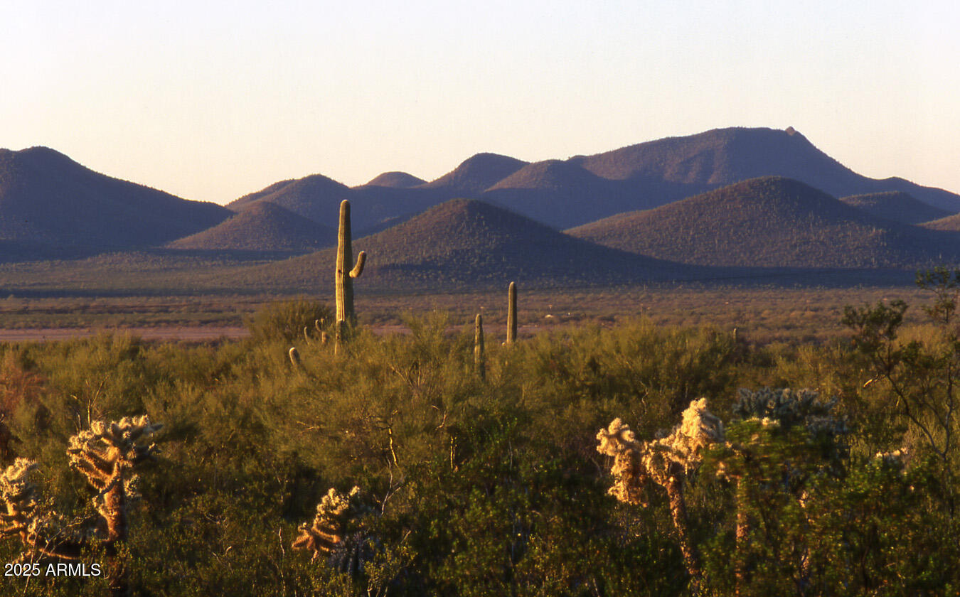 Diamond Bell Ranch - Tucson Unit 14 - Land