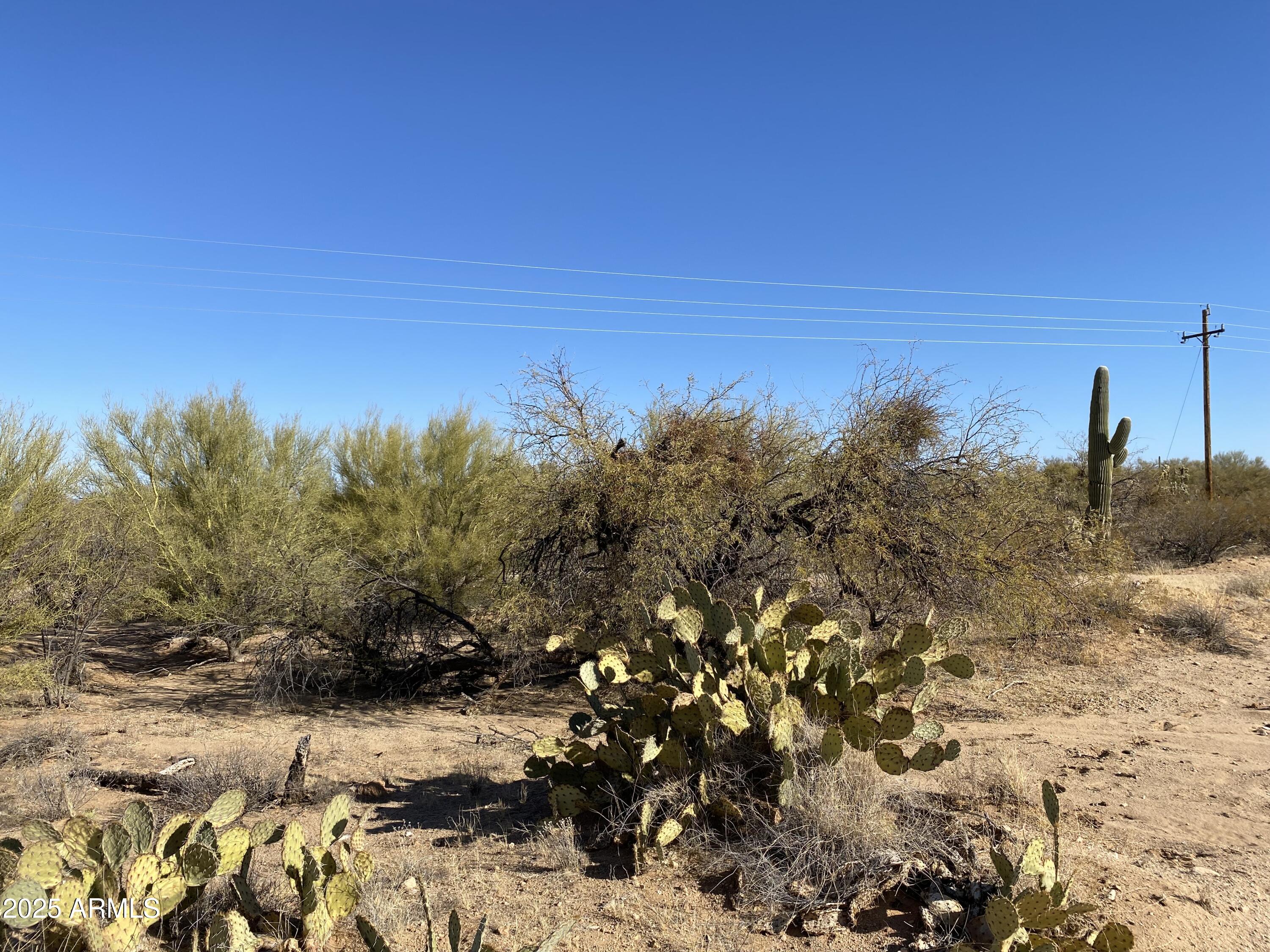 Diamond Bell Ranch - Tucson Unit 14 - Land
