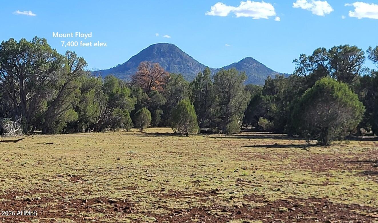 Westwood Ranch - Land