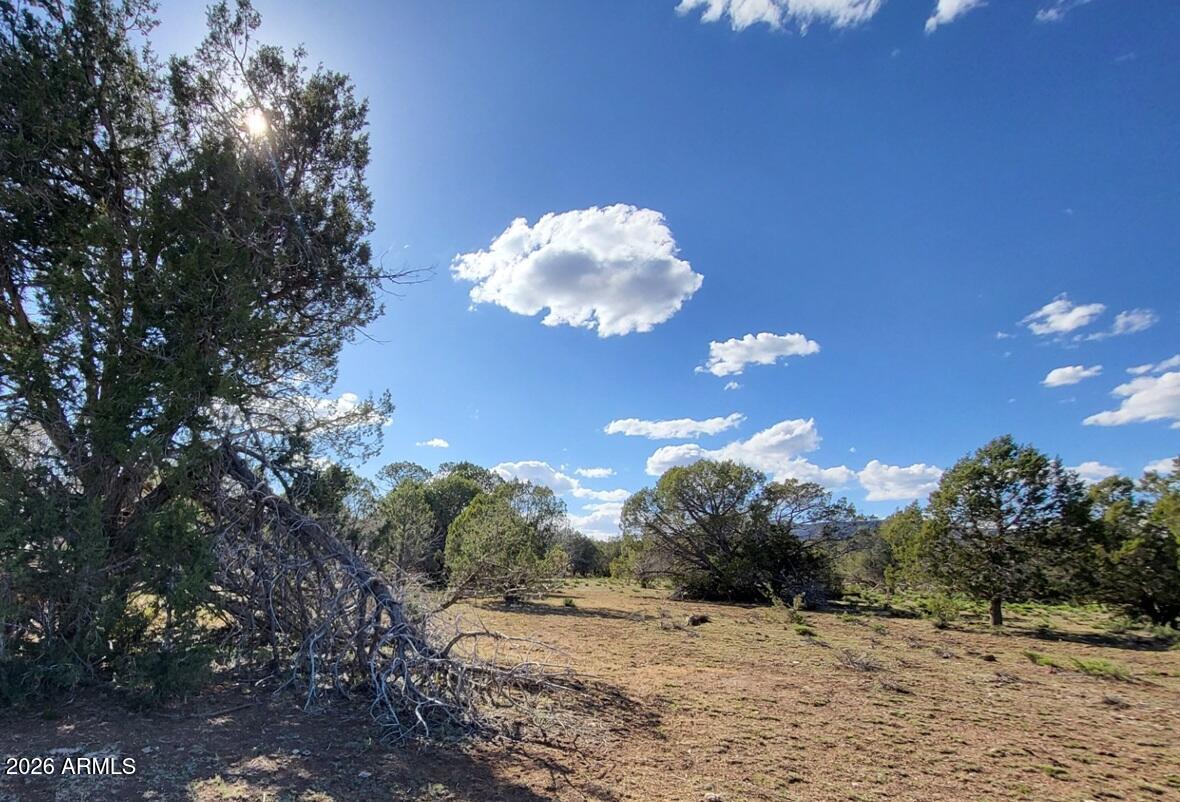 Westwood Ranch - Land