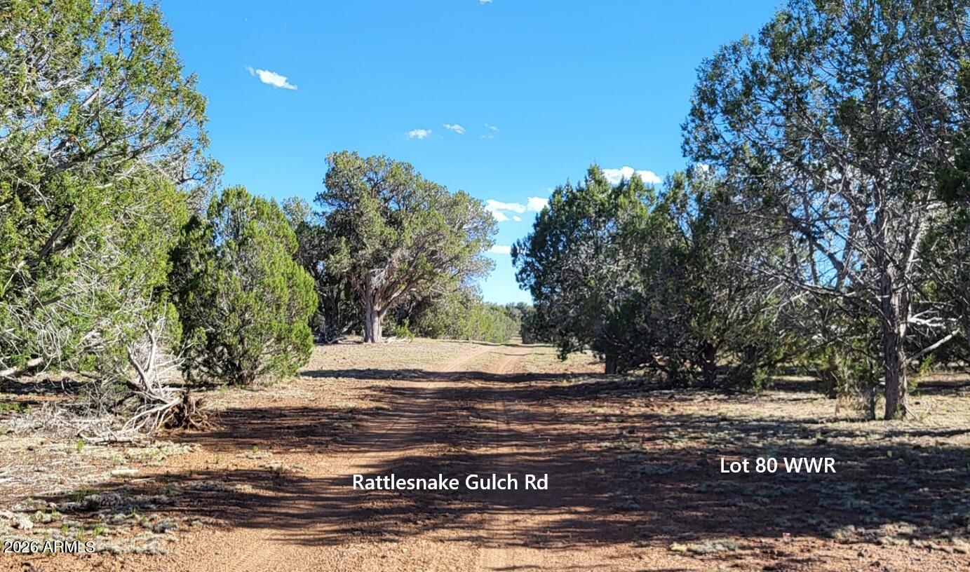 Westwood Ranch - Land