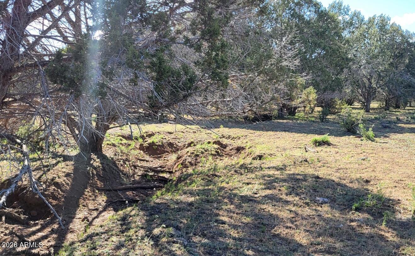 Westwood Ranch - Land