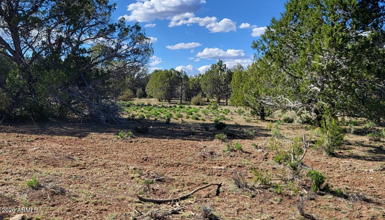 Westwood Ranch - Land