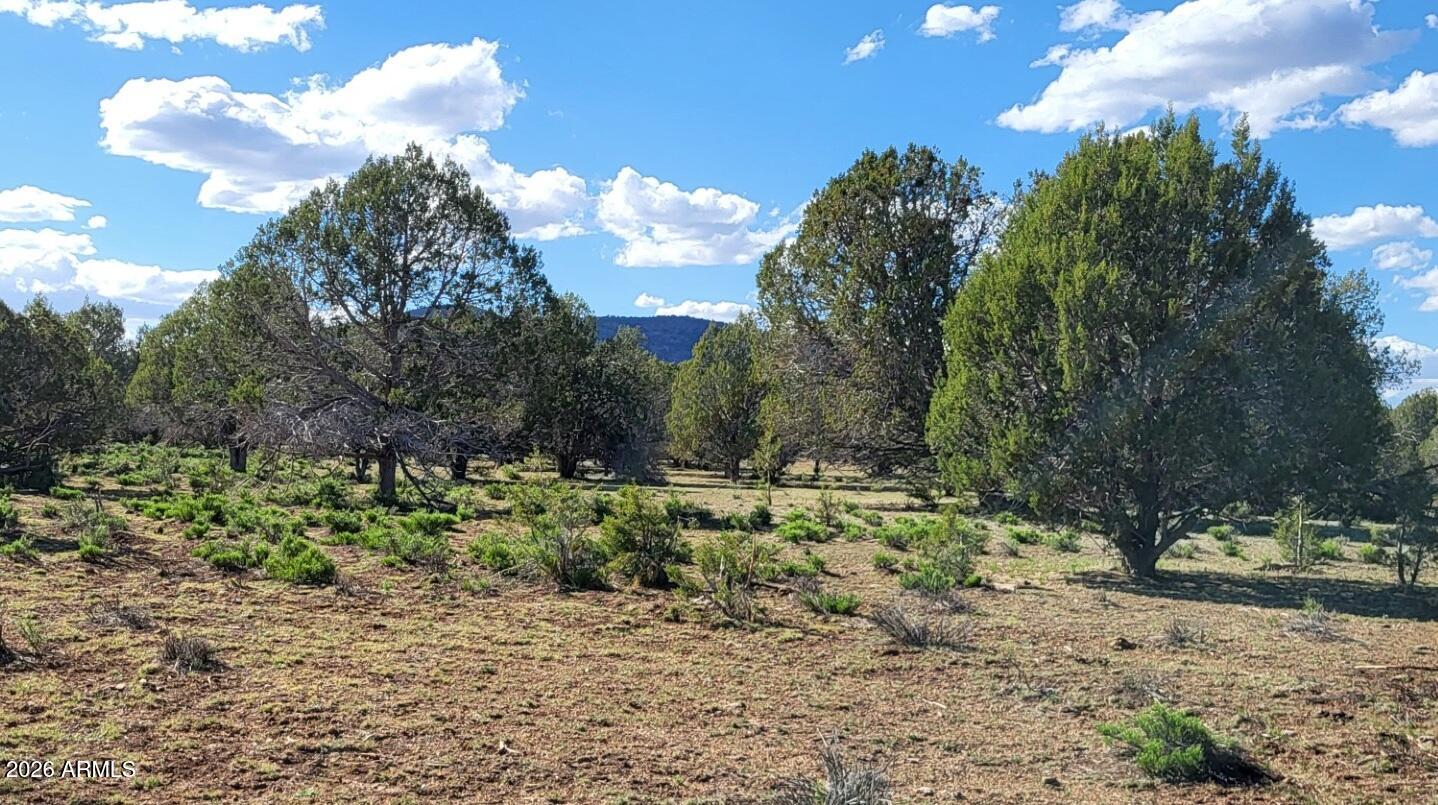 Westwood Ranch - Land